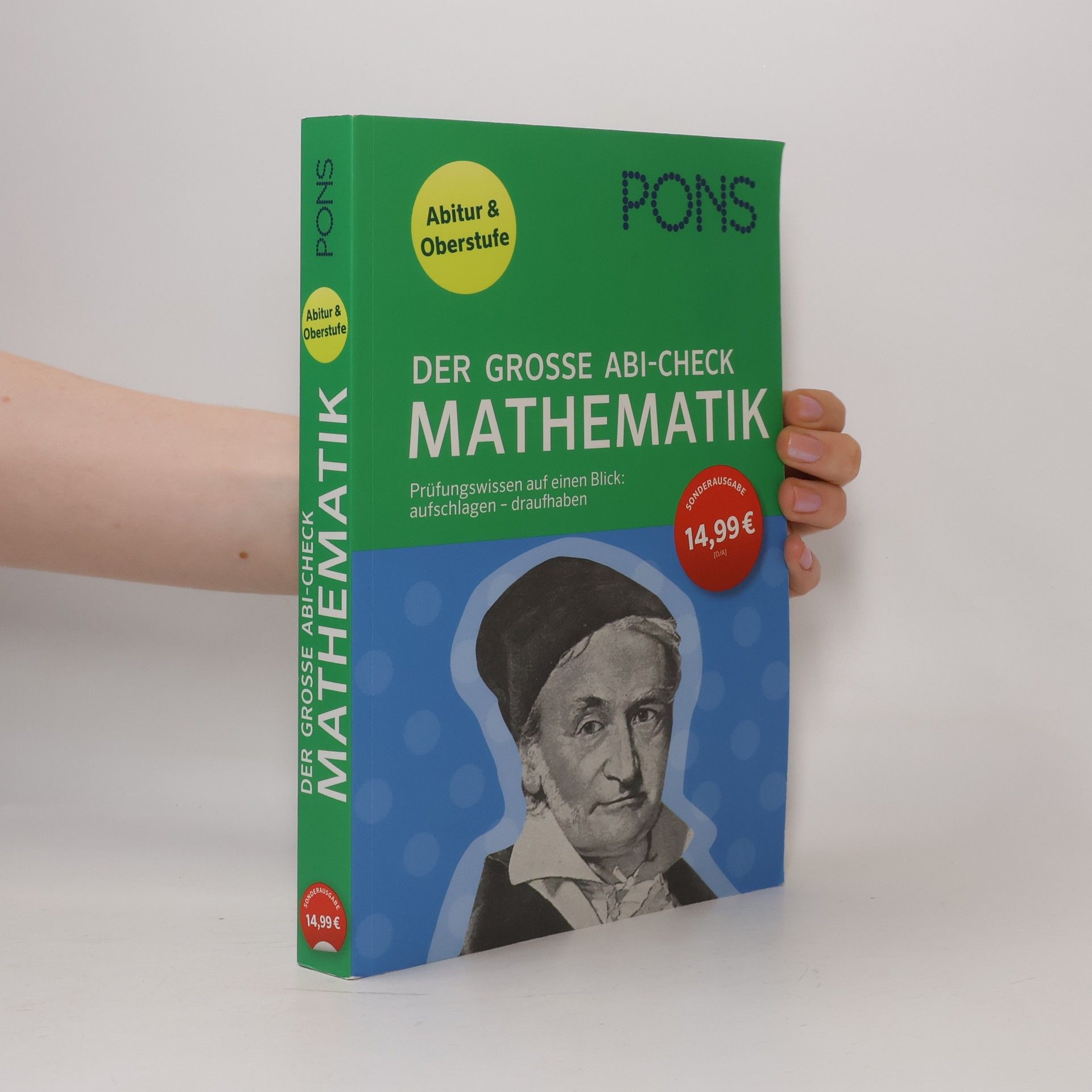Jörg Stark Der große Abi-Check Mathematik