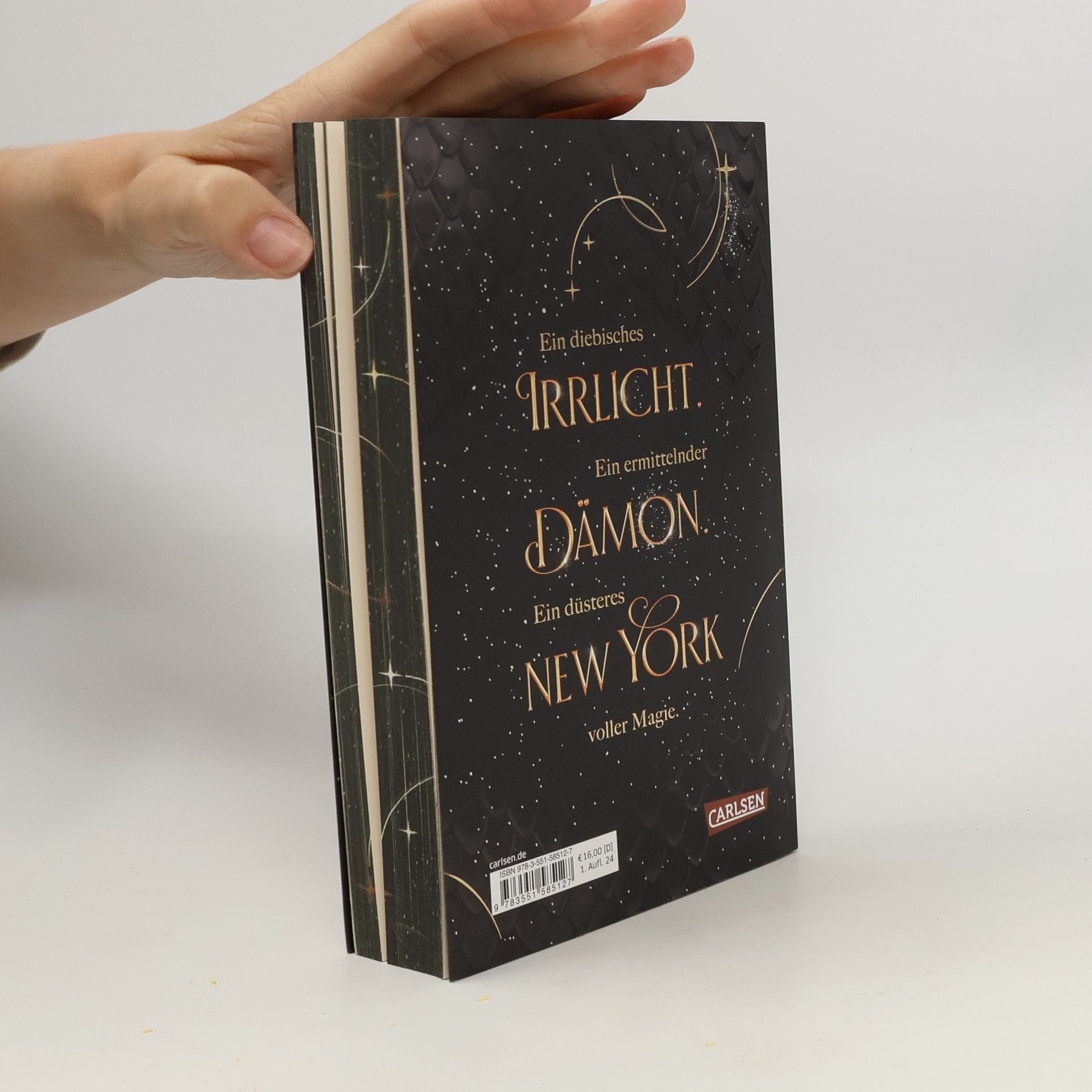 Lily S. Morgan How To Catch A Magical Light / New York Magics Bd.1
