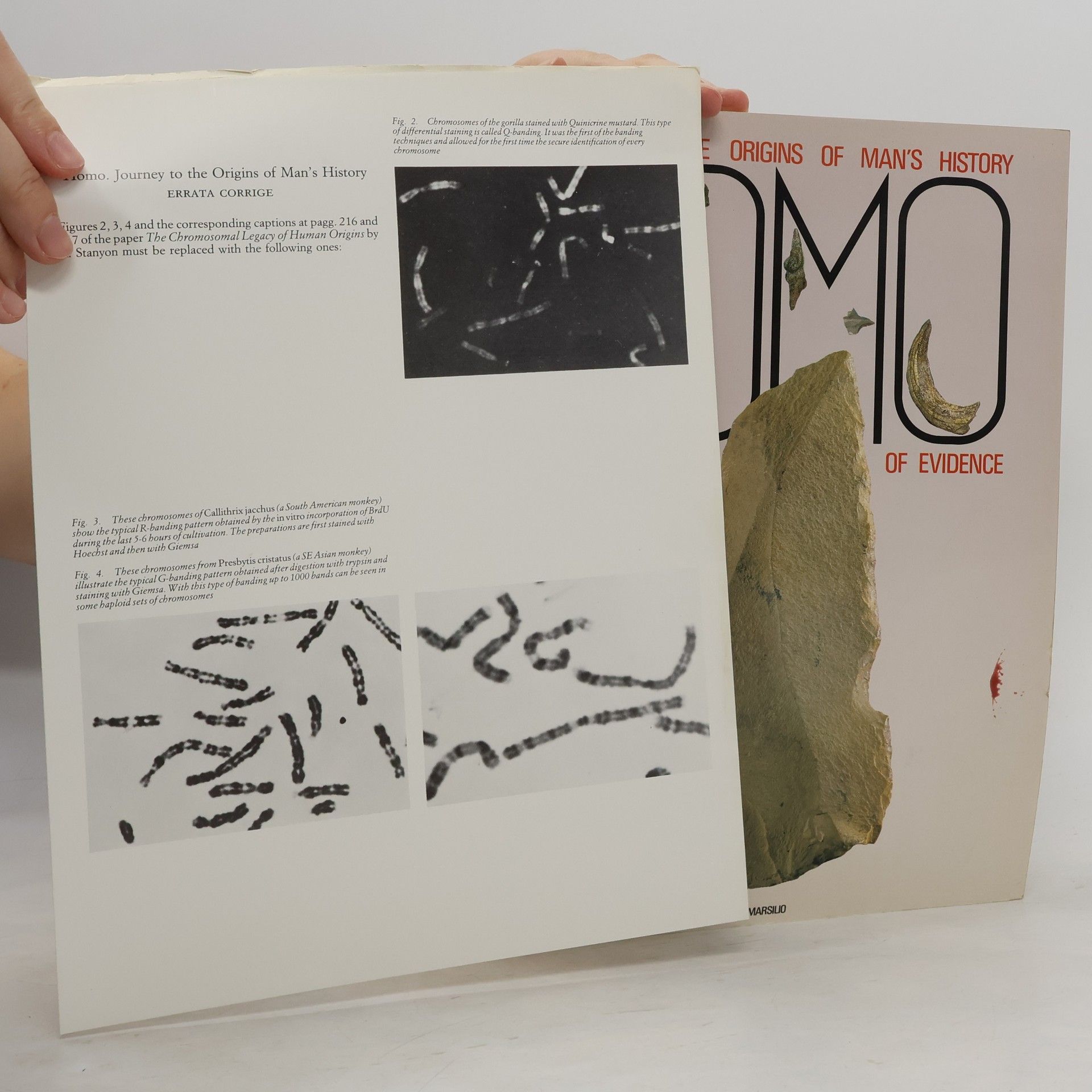 Carlo Peretto Homo. Journey to the Origins of Man's History. Four Milion Years of Evidence
