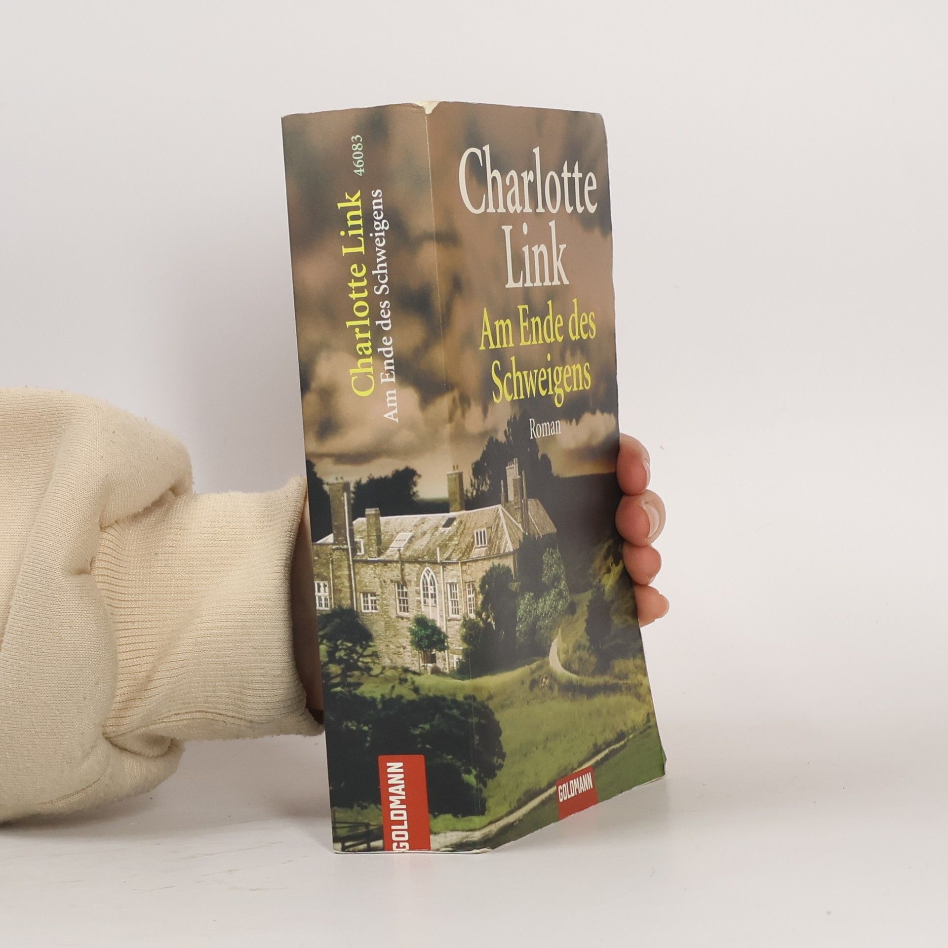 Charlotte Link Am Ende des Schweigens
