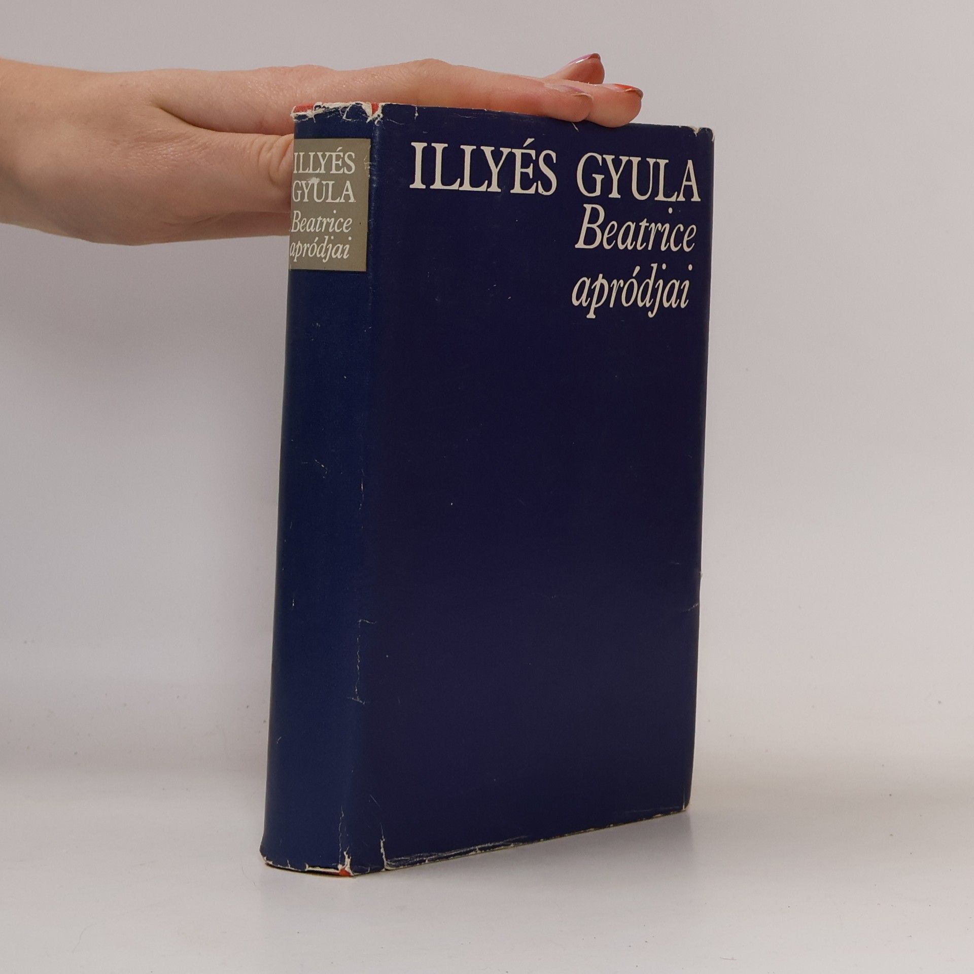 Gyula Illyés Beatrice apródjai