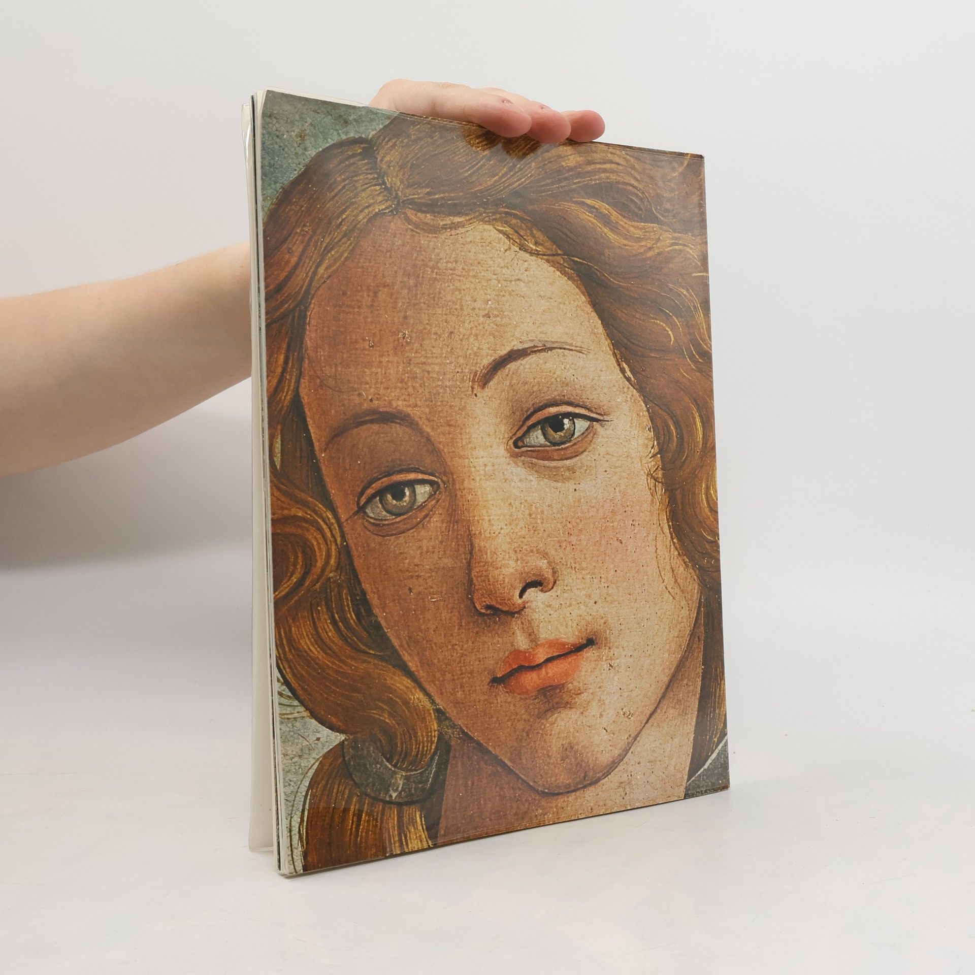 Bruno Santi Botticelli