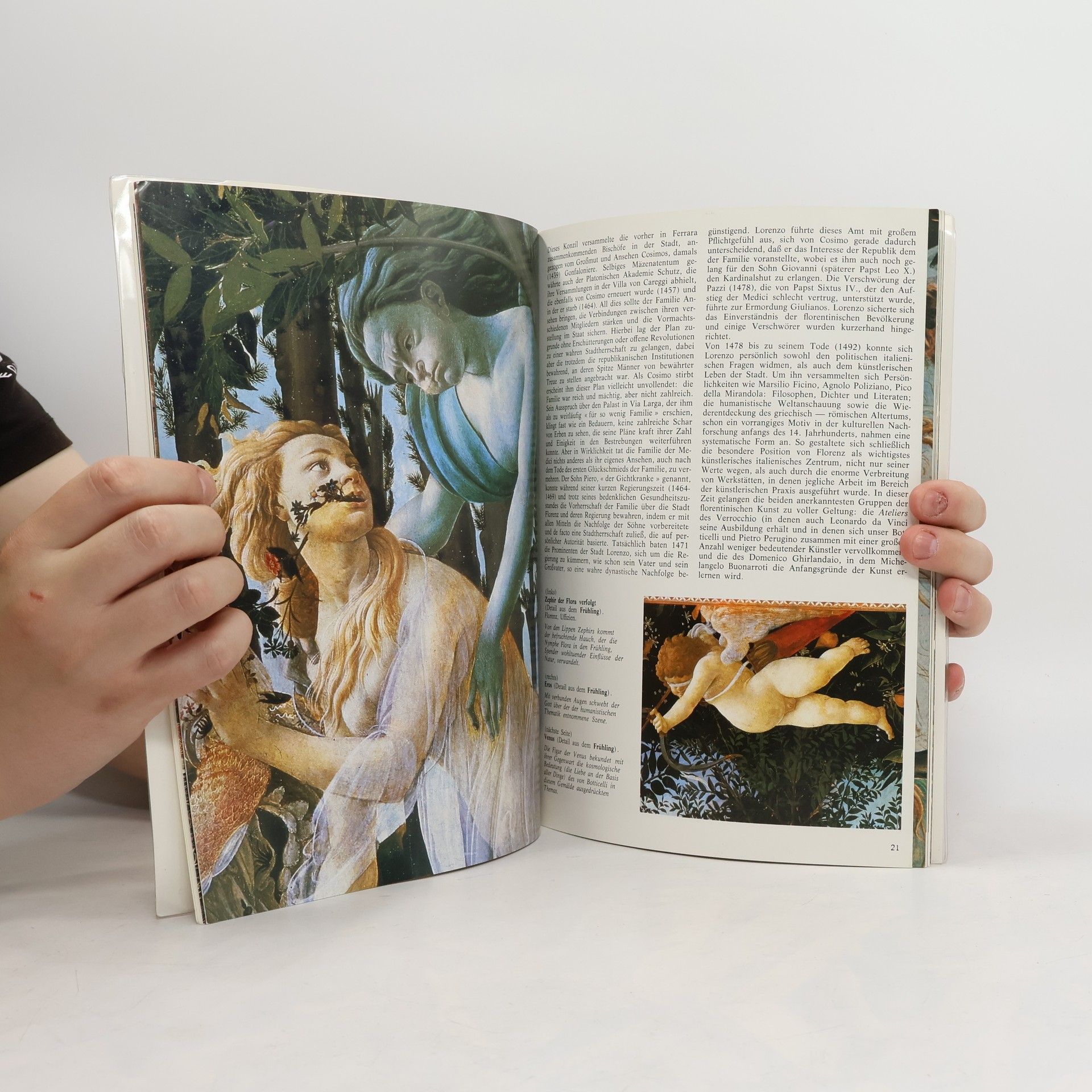 Bruno Santi Botticelli