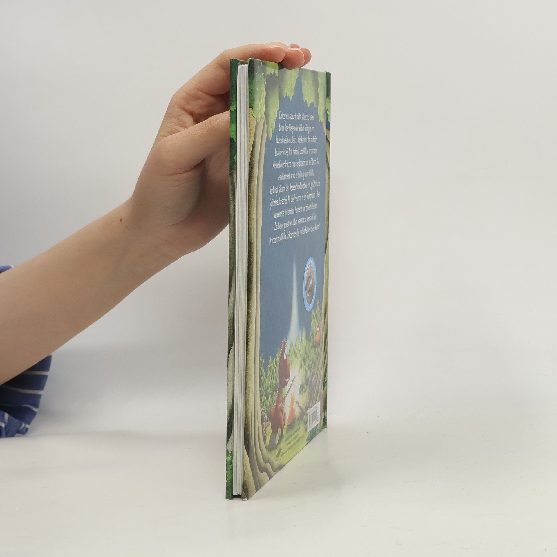 Ingo Seigner Der kleine Drache Kokosnuss und der Zauberschüler