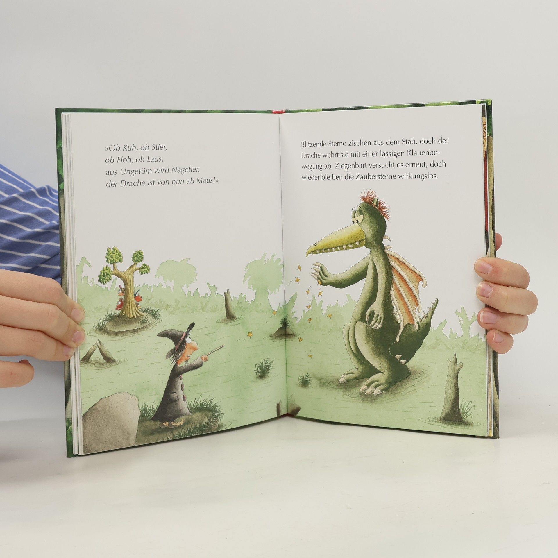 Ingo Seigner Der kleine Drache Kokosnuss und der Zauberschüler