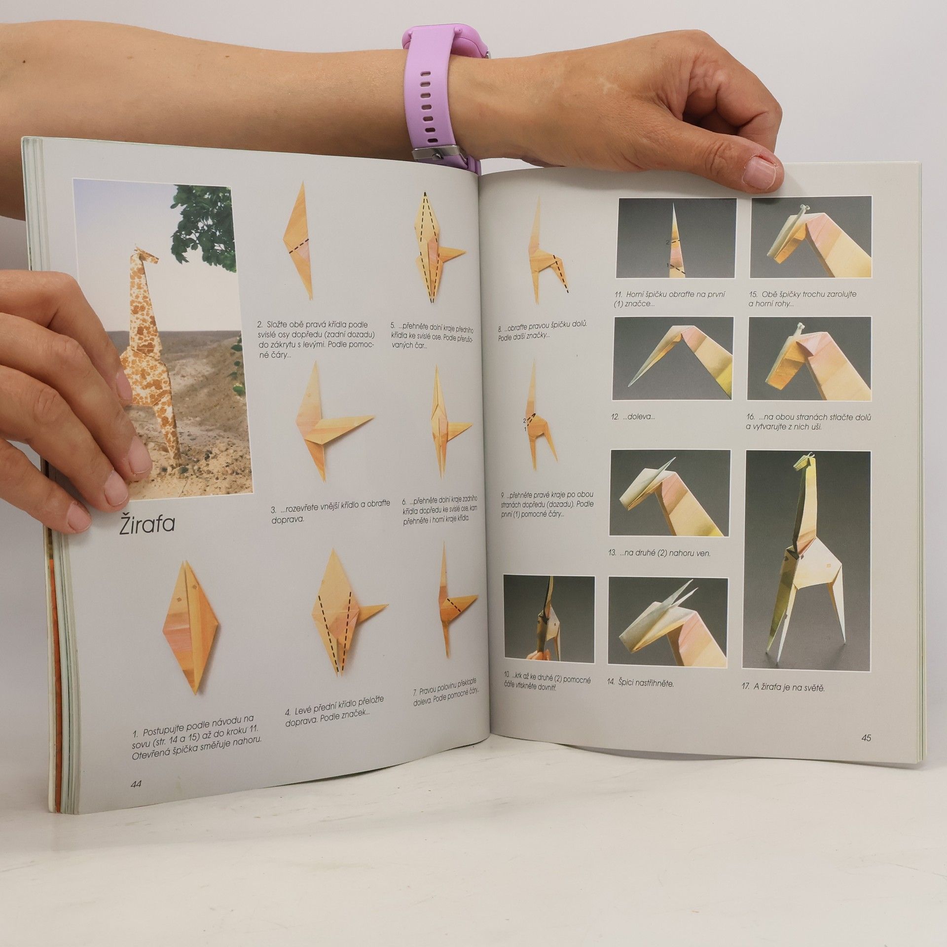 Zülal AytüreScheele Kouzelné origami: Svět papírových zvířátek