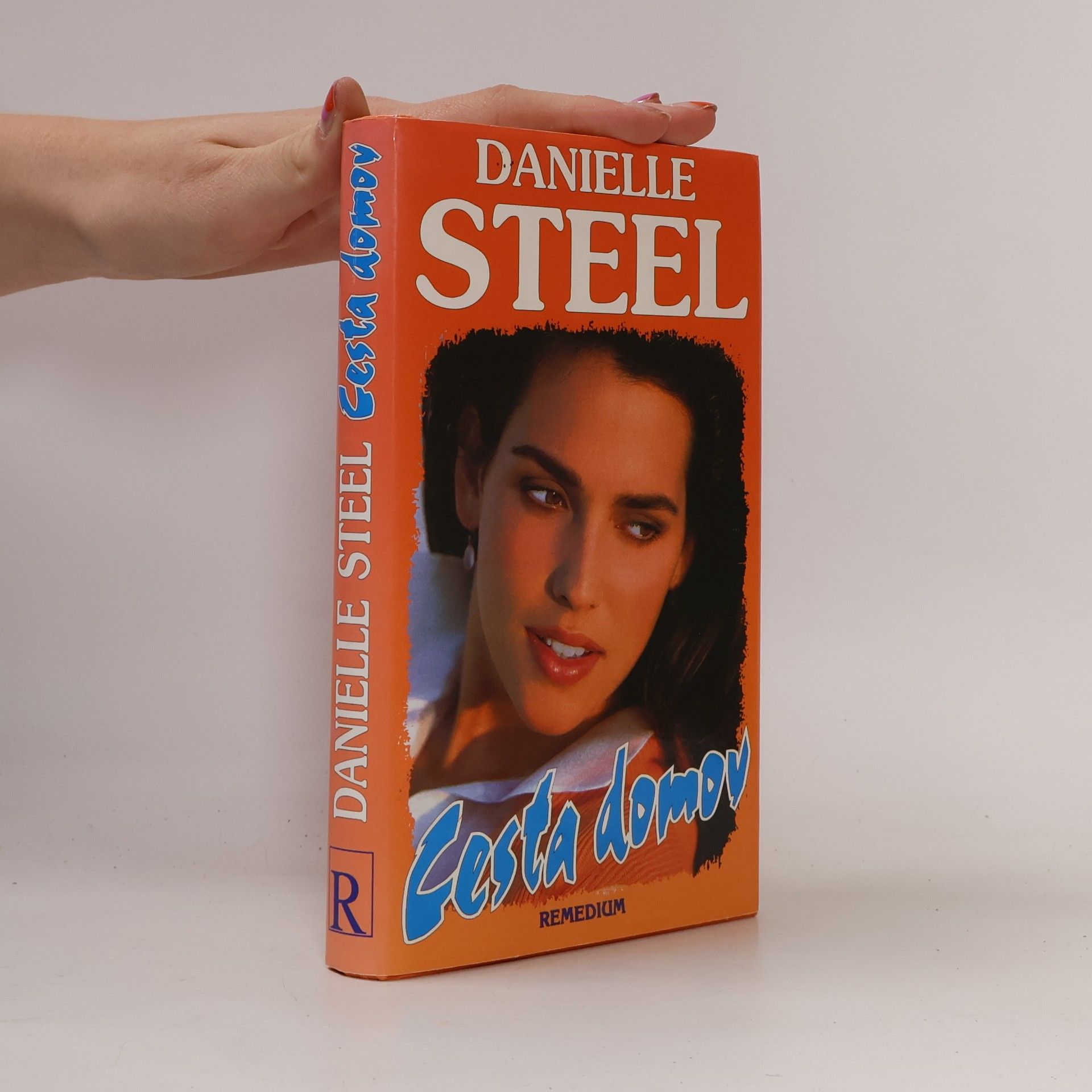 Danielle Steel Cesta domov