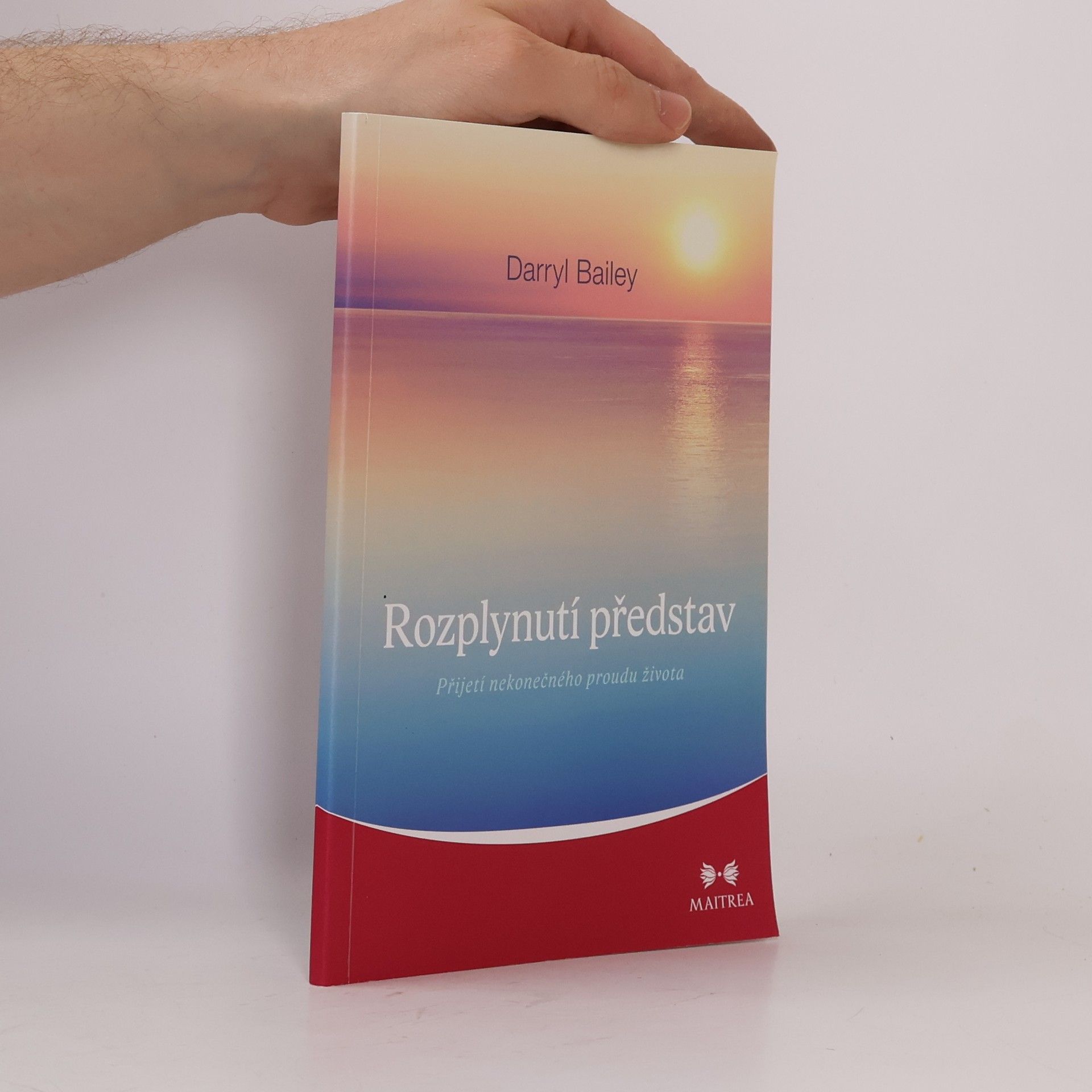 Darryl Bailey Rozplynutí představ: Přijetí nekonečného proudu života