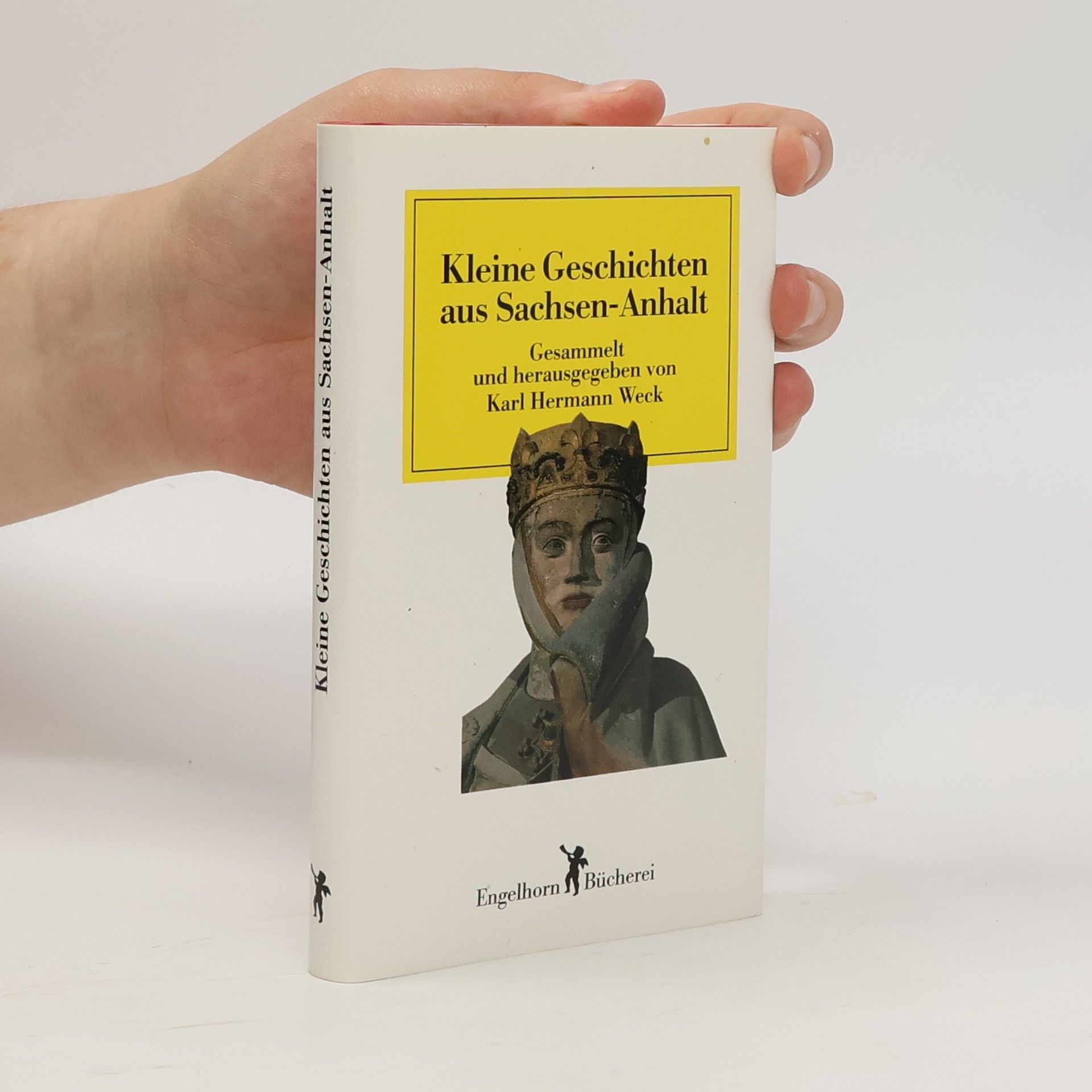Autorenkollektiv Kleine Geschichten aus Sachsen-Anhalt