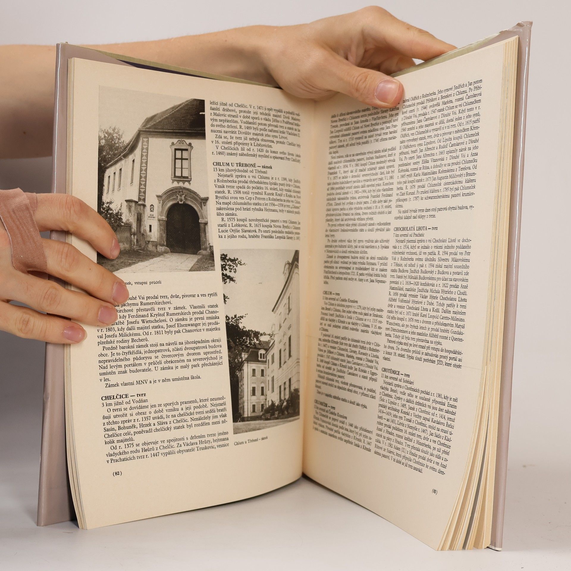 Autorenkollektiv Hrady, zámky a tvrze v Čechách, na Moravě a ve Slezsku V. Jižní Čechy