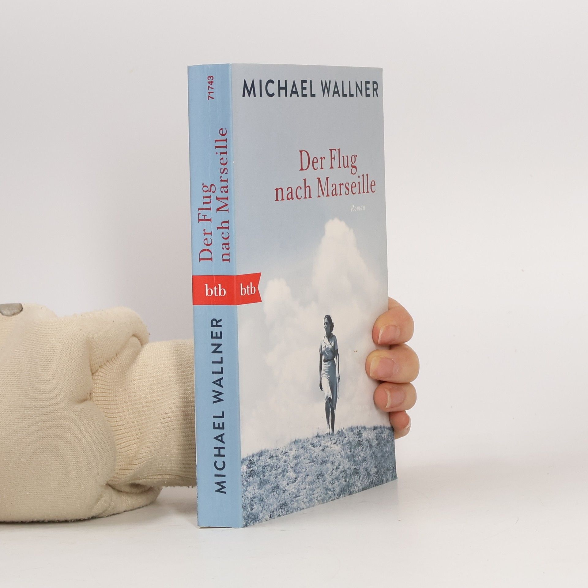 Michael Wallner Der Flug nach Marseille
