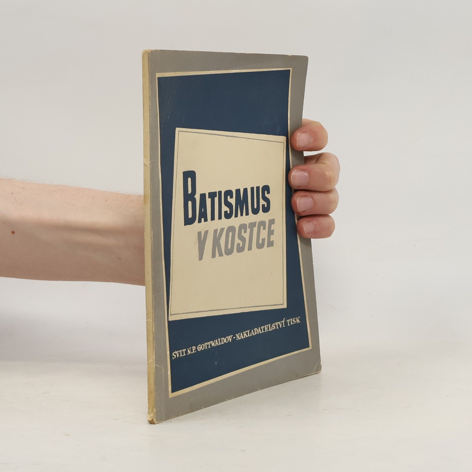 Batismus v kostce