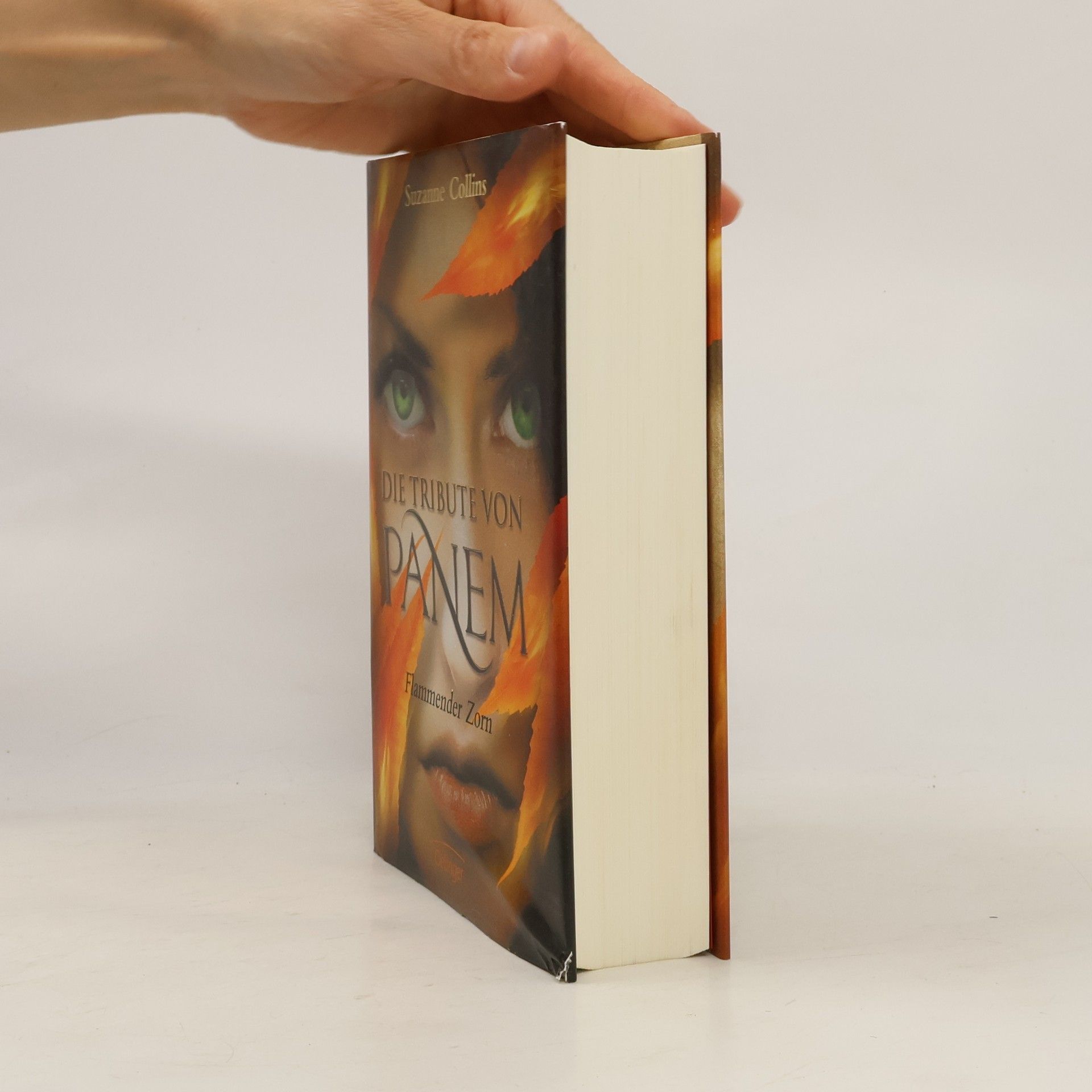 Suzanne Collins Die Tribute vom panem. Flammender Zorn