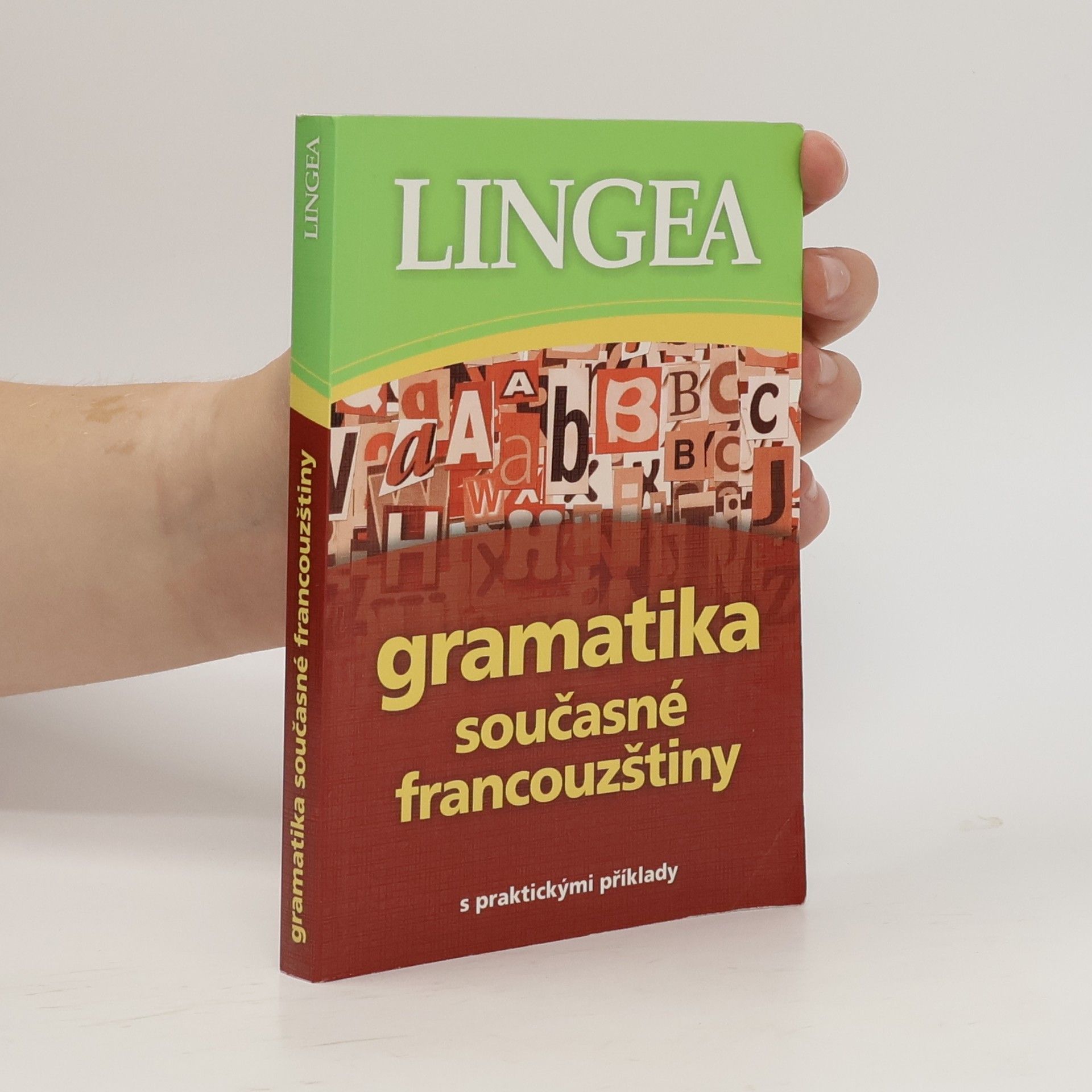 Autorenkollektiv Gramatika současné francouzštiny