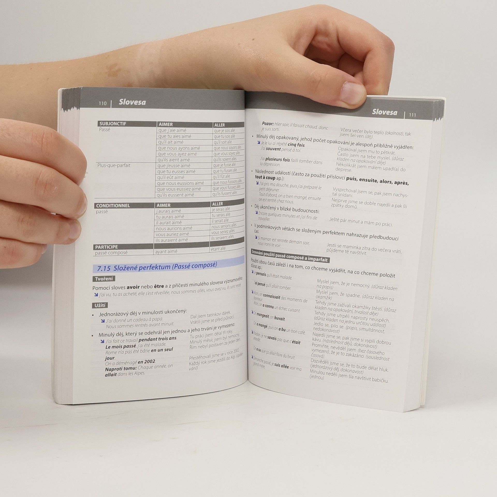 Autorenkollektiv Gramatika současné francouzštiny