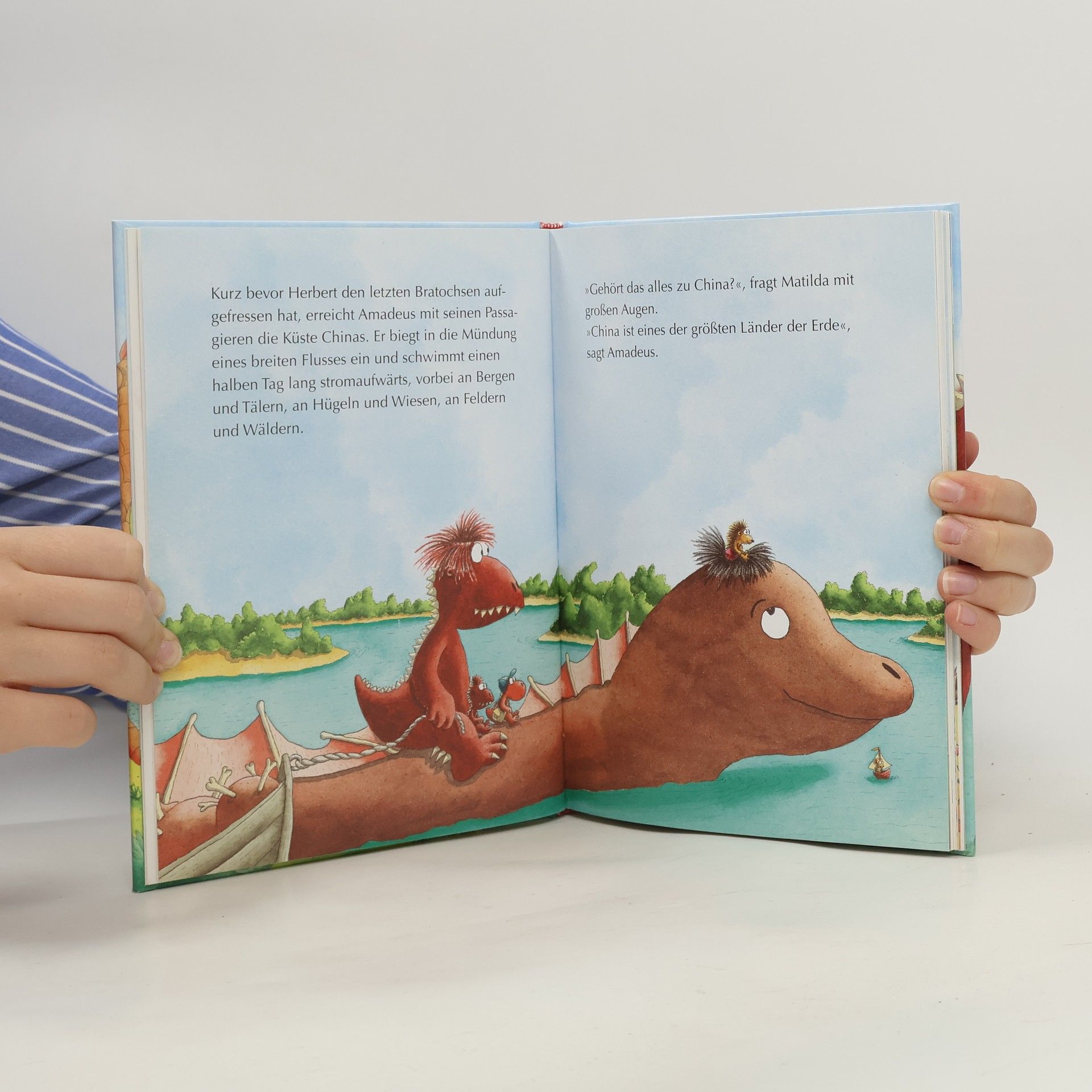 Ingo Siegner Der kleine Drache Kokosnuss und der chinesische Drache