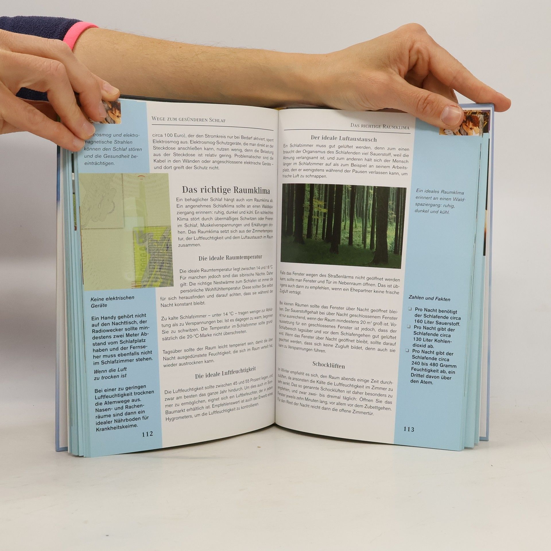 Autorenkollektiv Das Schlafbuch. Endlich wieder richtig schlafen