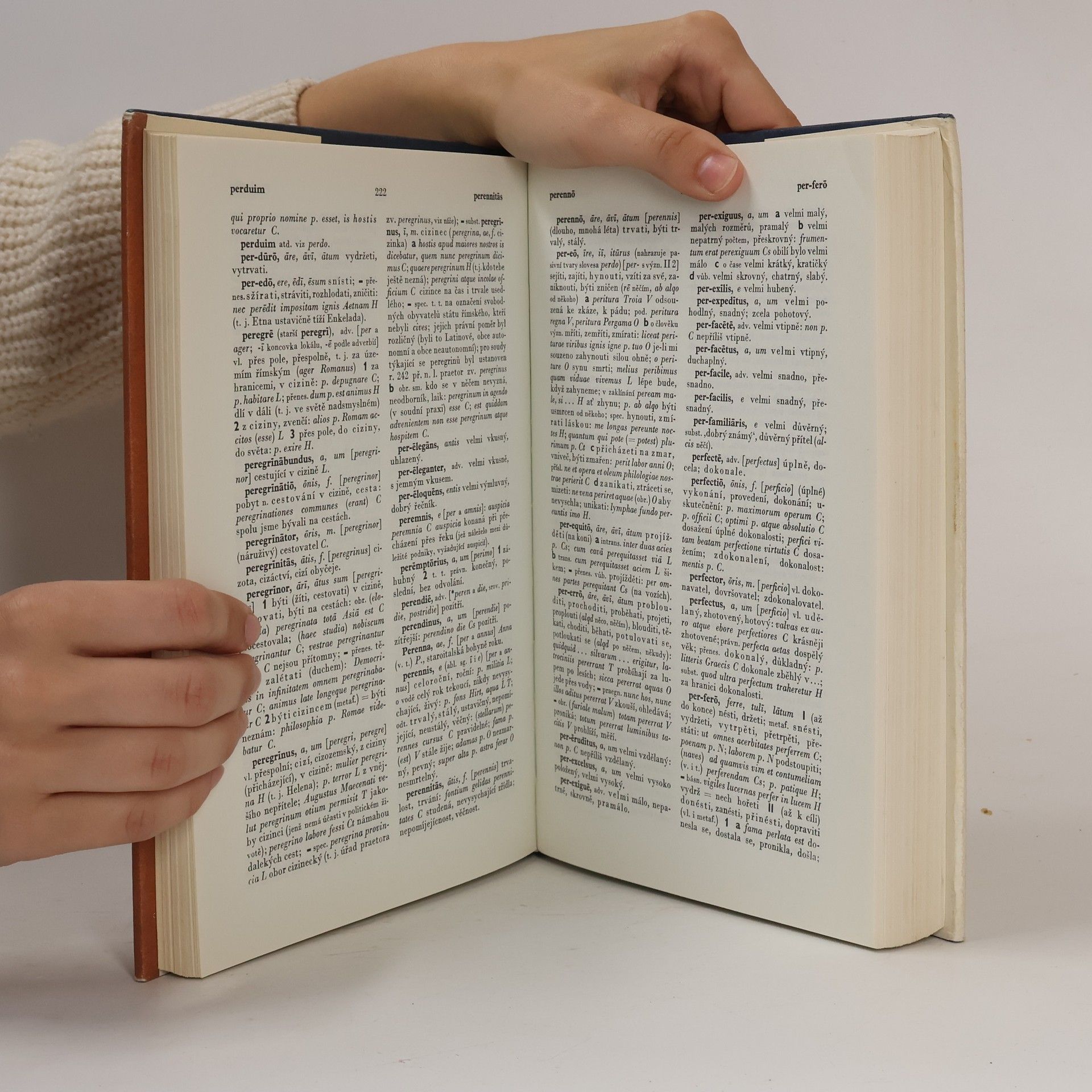Autorenkollektiv Latinsko-český slovník L-Z