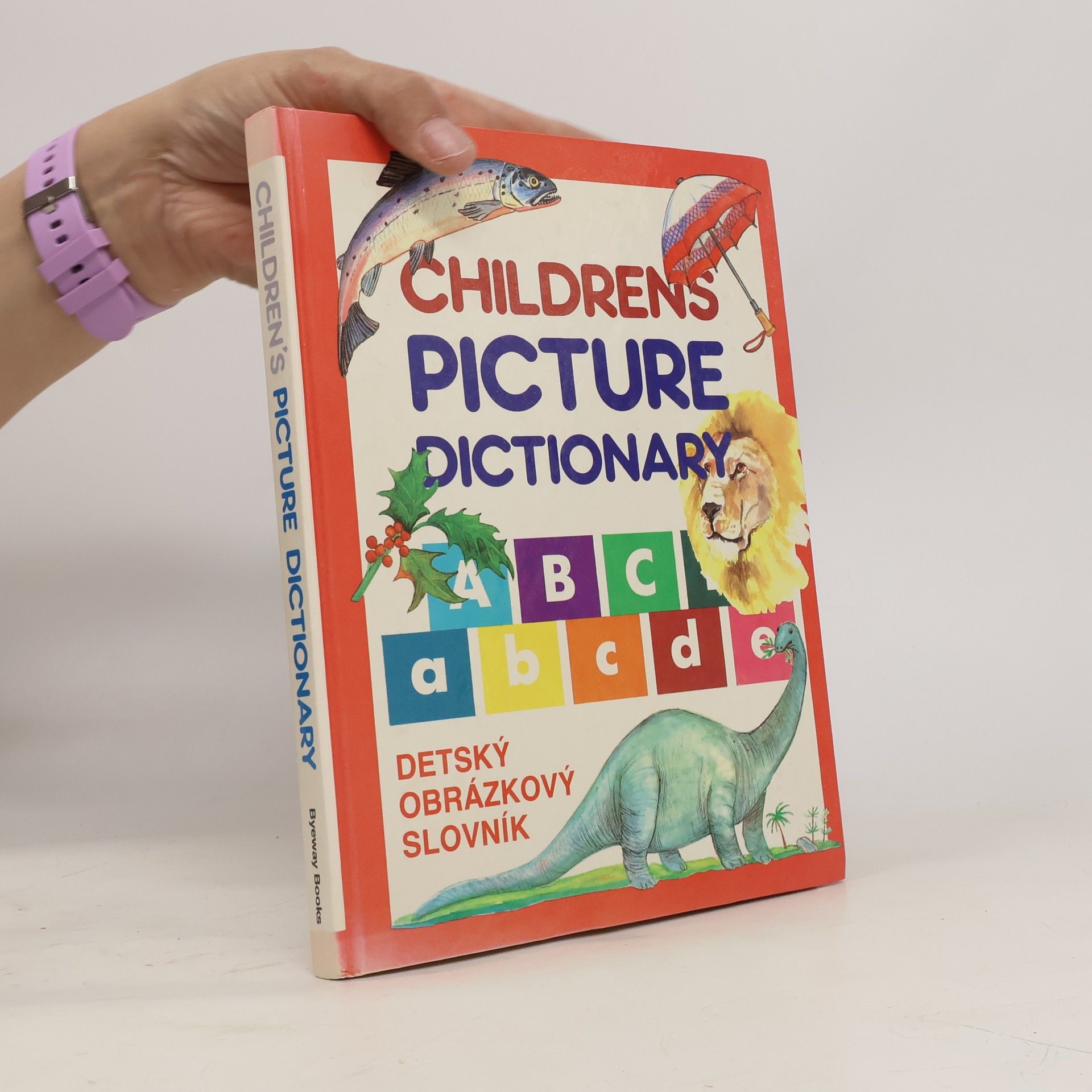 Kolektiv autorů Children's Picture Dictionary