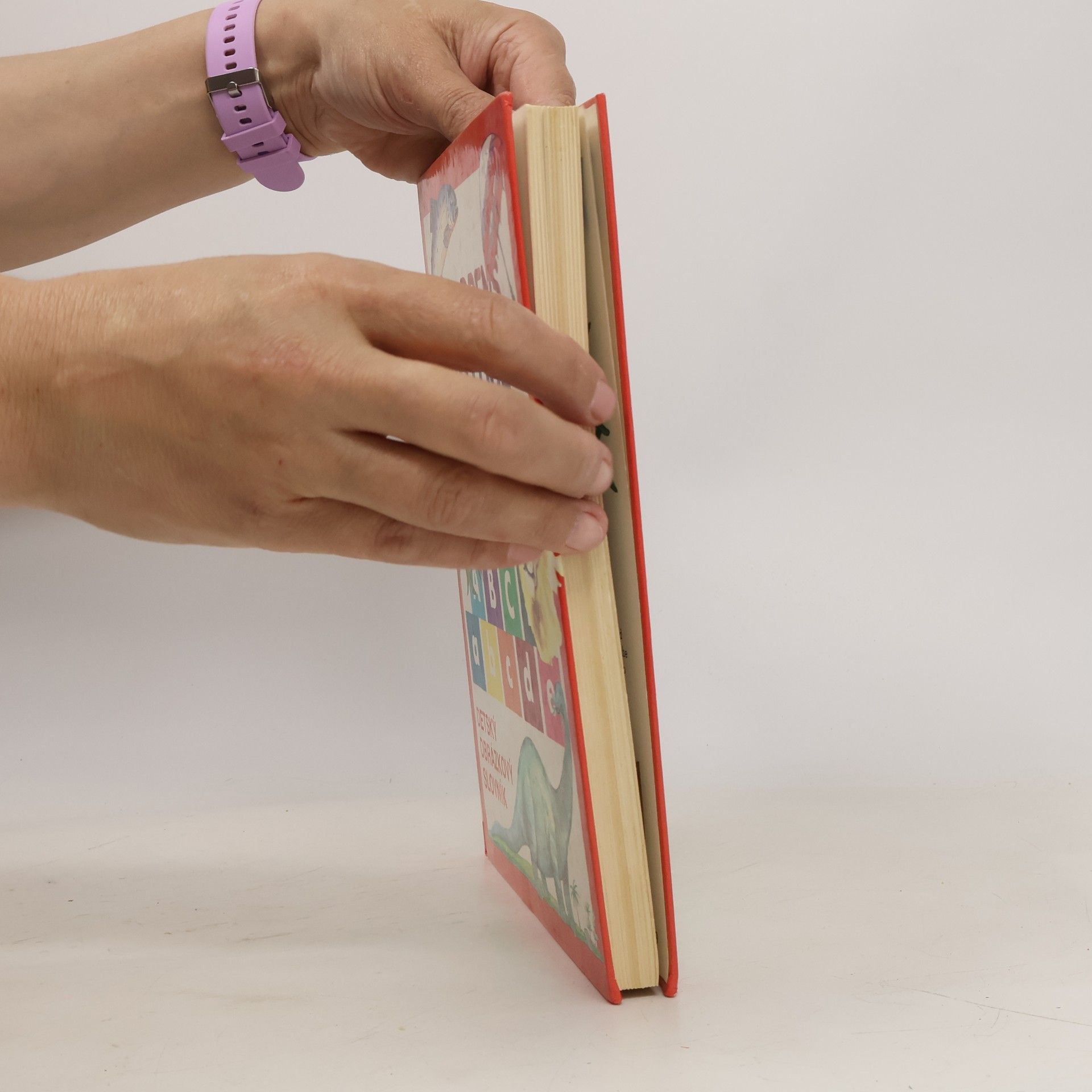 Various authors Children's Picture Dictionary