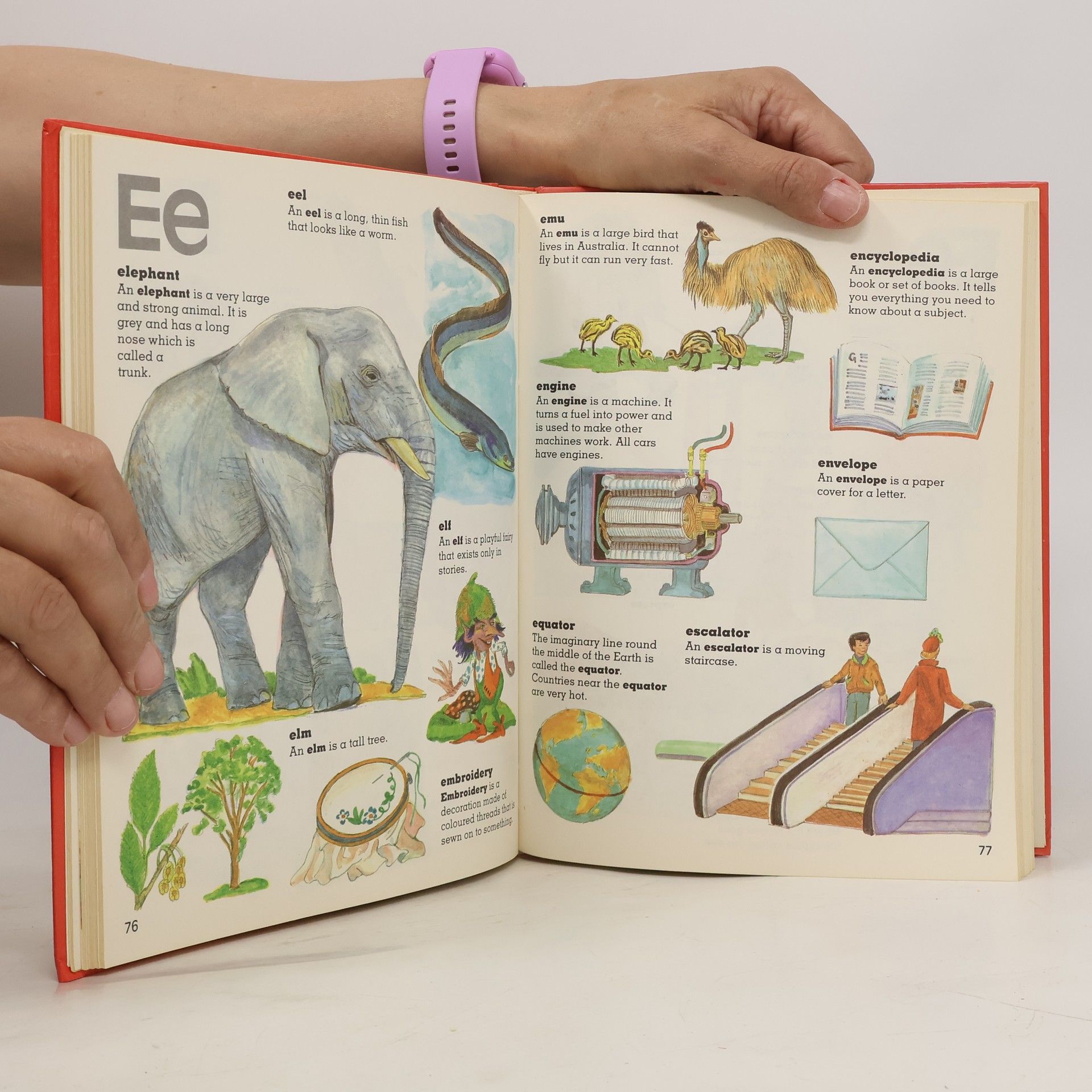 Various authors Children's Picture Dictionary