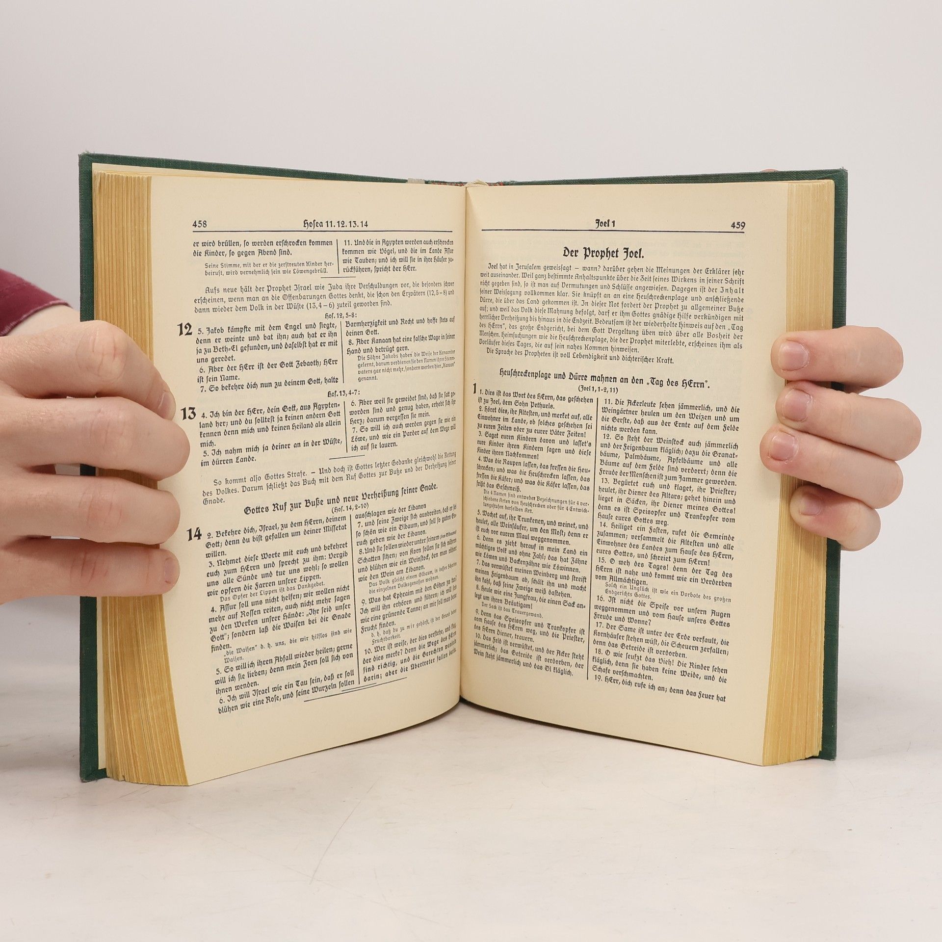Martin Luther Familienbibel