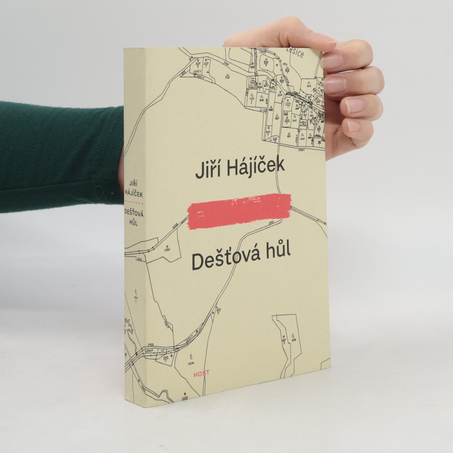 Jiří Hájíček Dešťová hůl