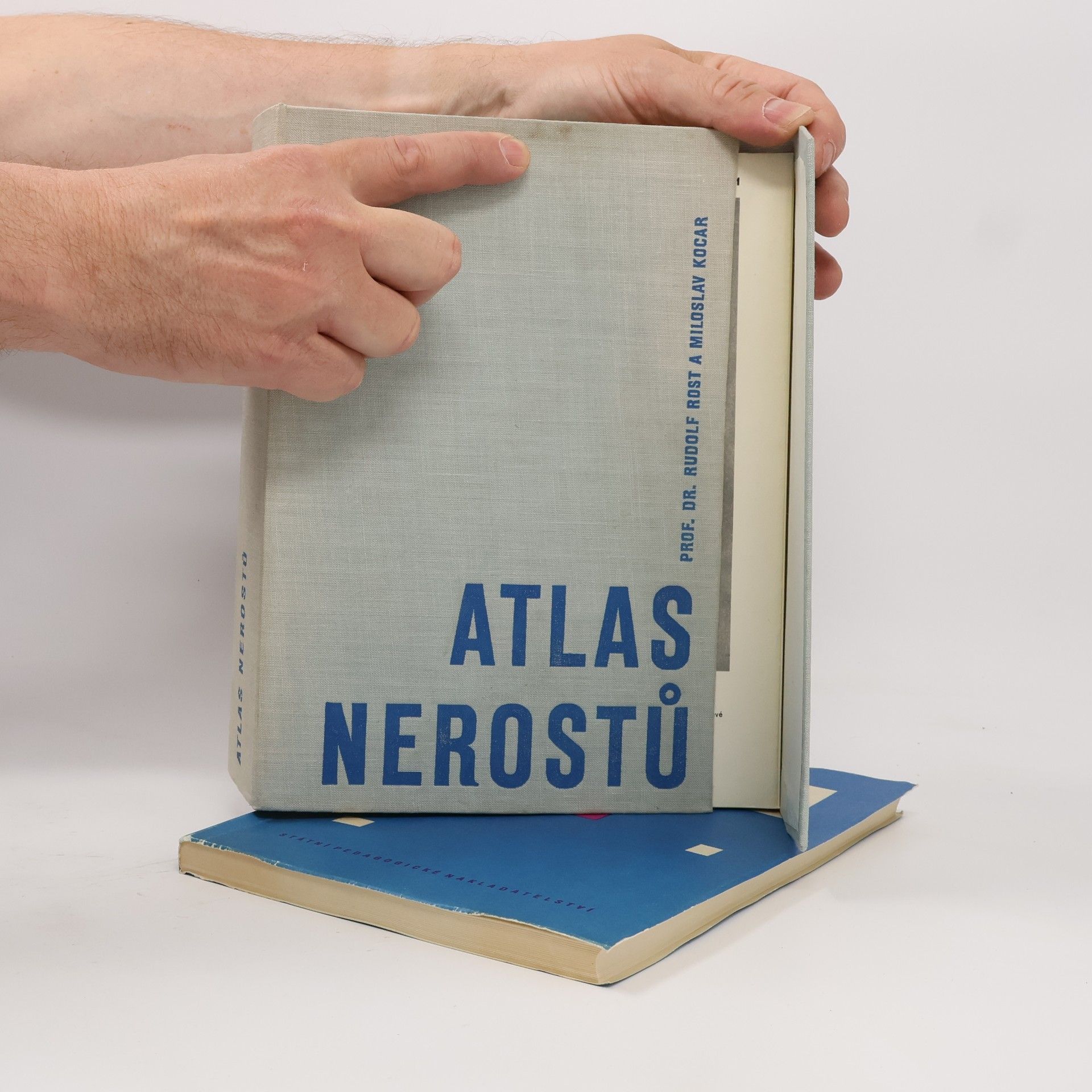 Rudolf Rost Atlas nerostů