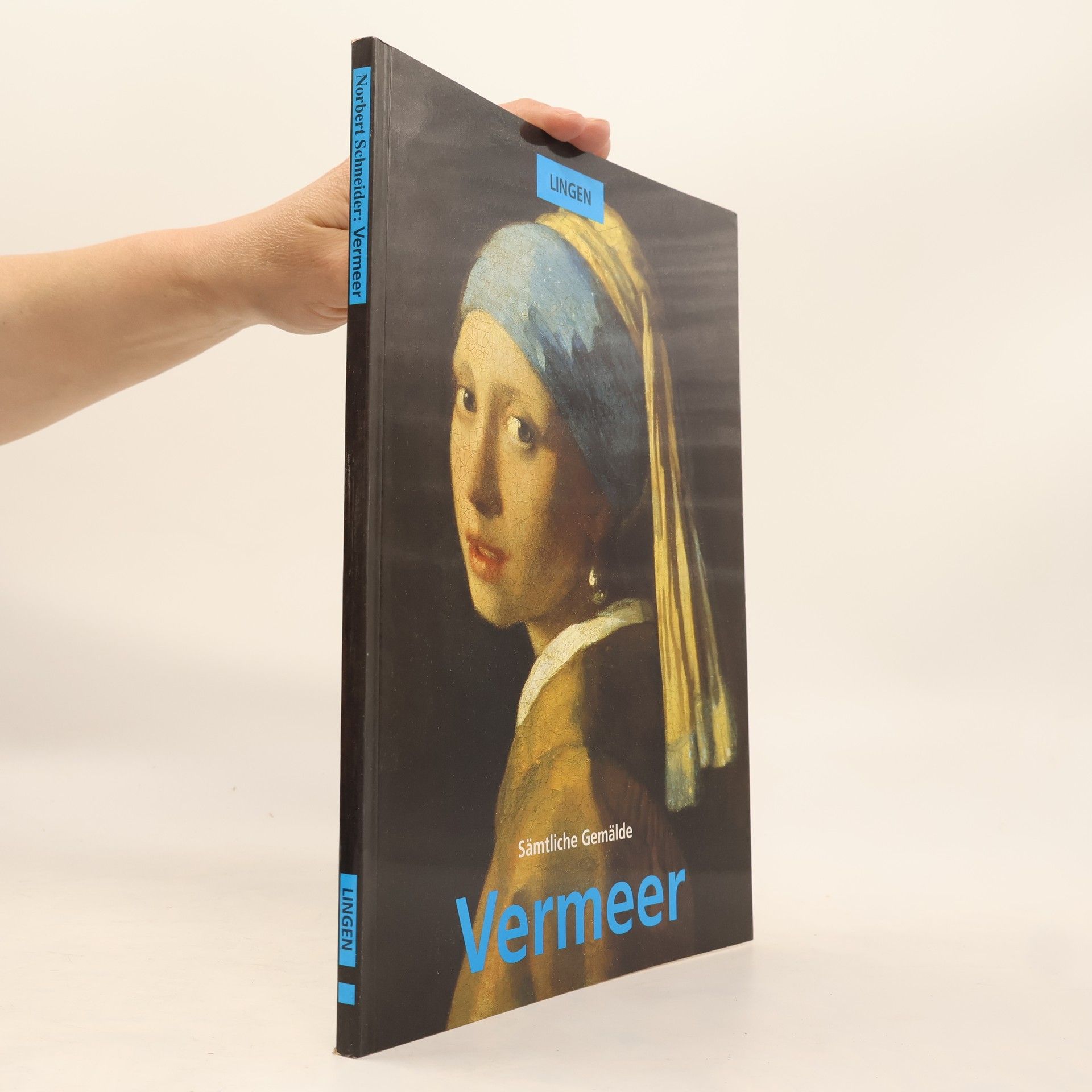 Norbert F. Schneider Vermeer