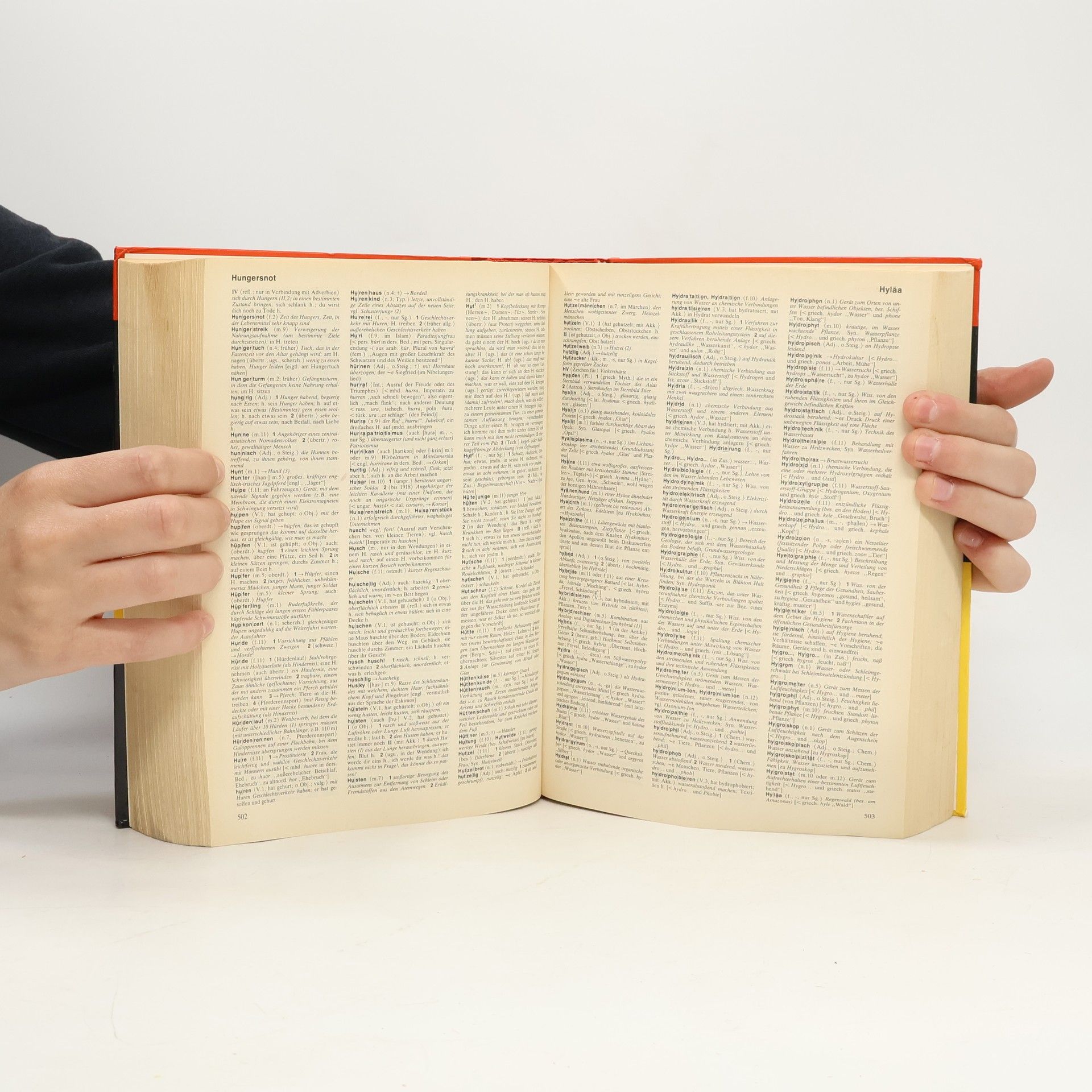 Hans Joachim Störig Das grosse Wörterbuch der deutschen Sprache