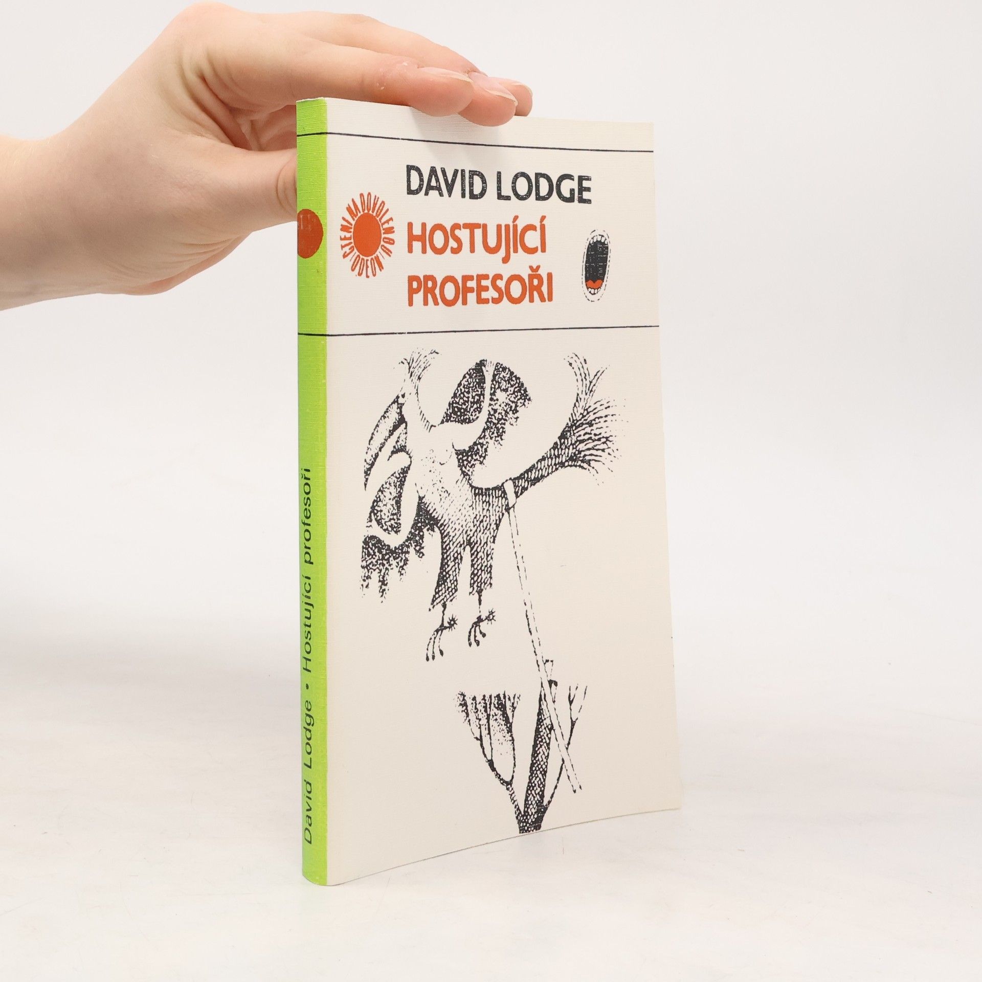 David Lodge Hostující profesoři