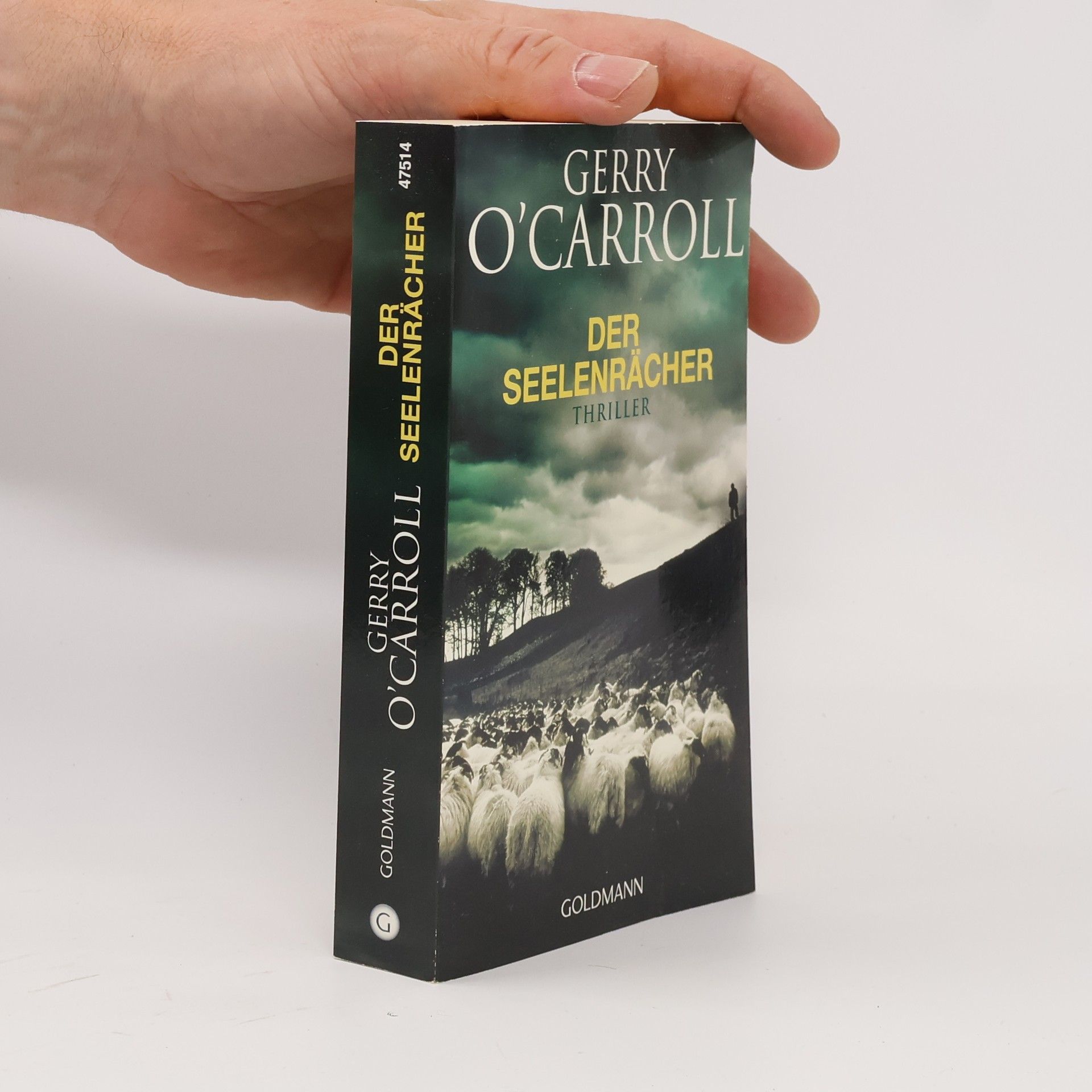 Gerry O'Carroll Der Seelenrächer