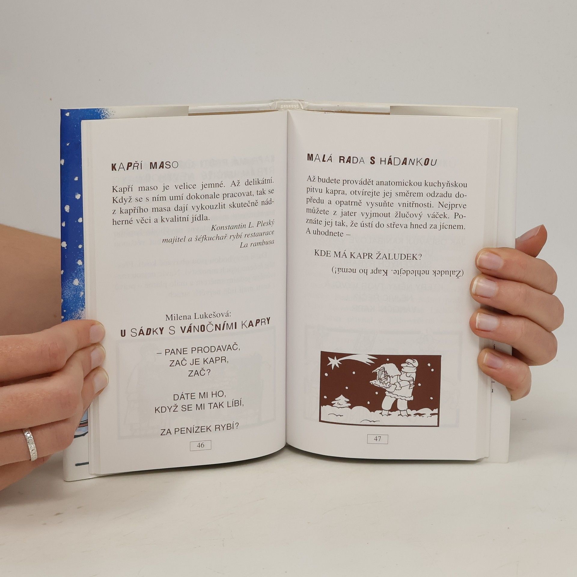 Vratislav Ebr Podoby vánoc: Netradiční almanach