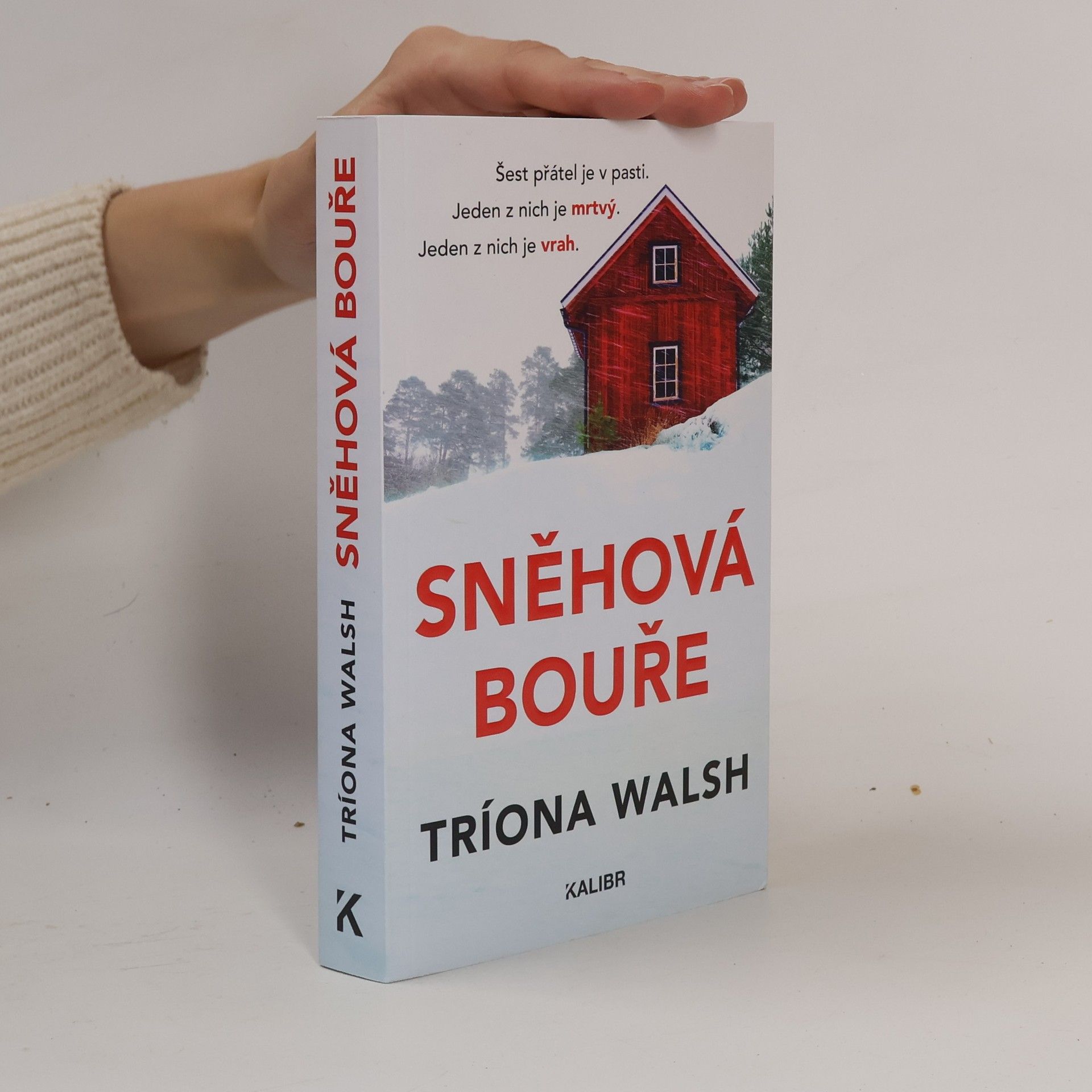Tríona Walsh Sněhová bouře
