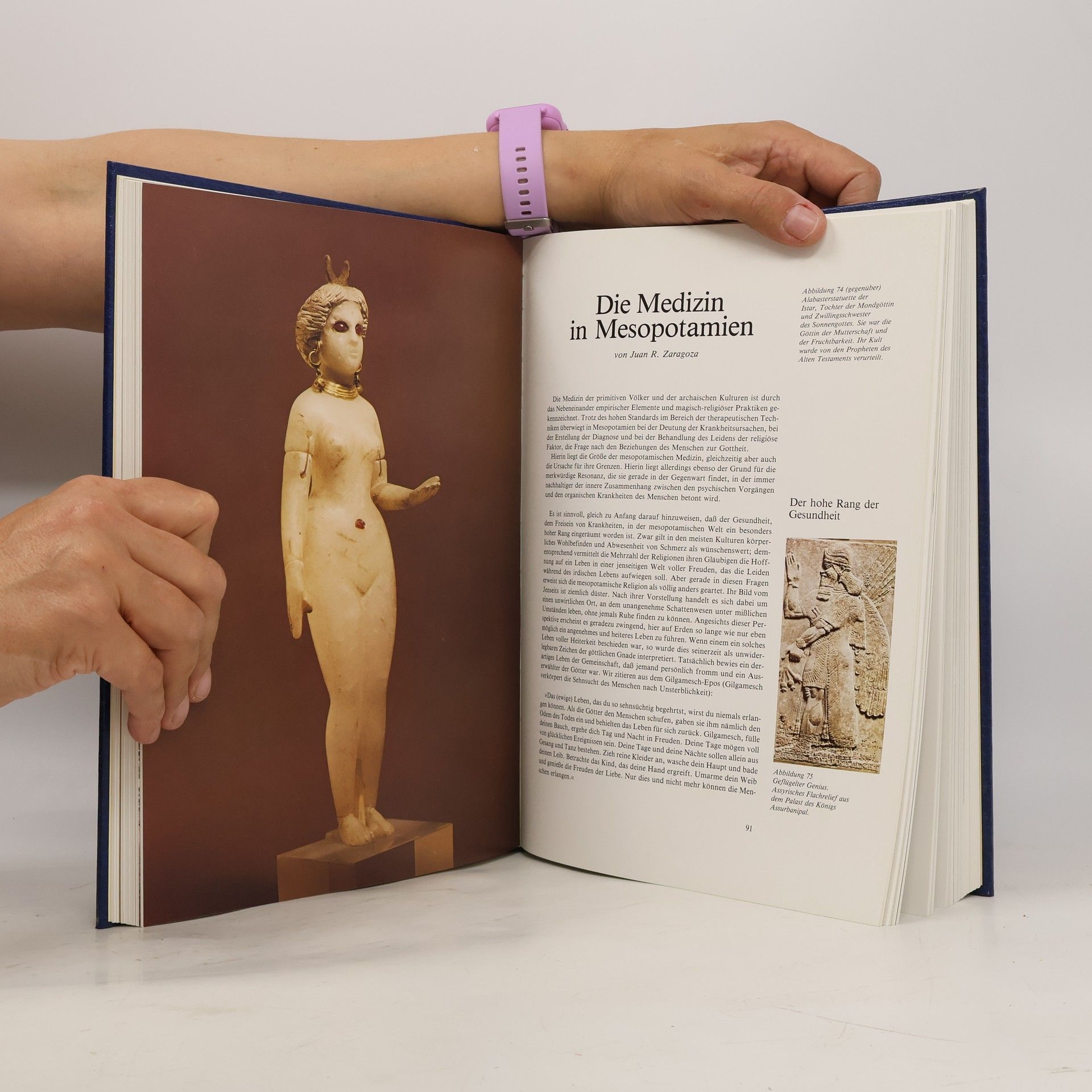 Maria Theresia Breitenecker Illustrierte Geschichte der Medizin 1