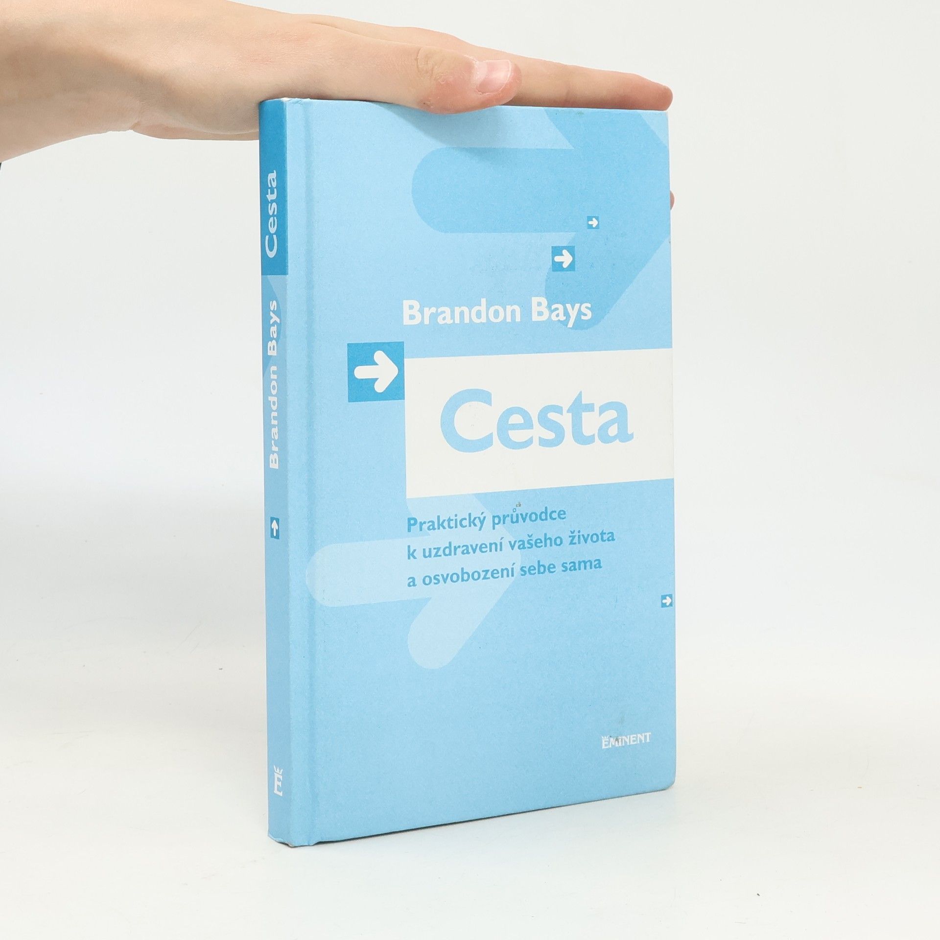 Brandon Bays Cesta