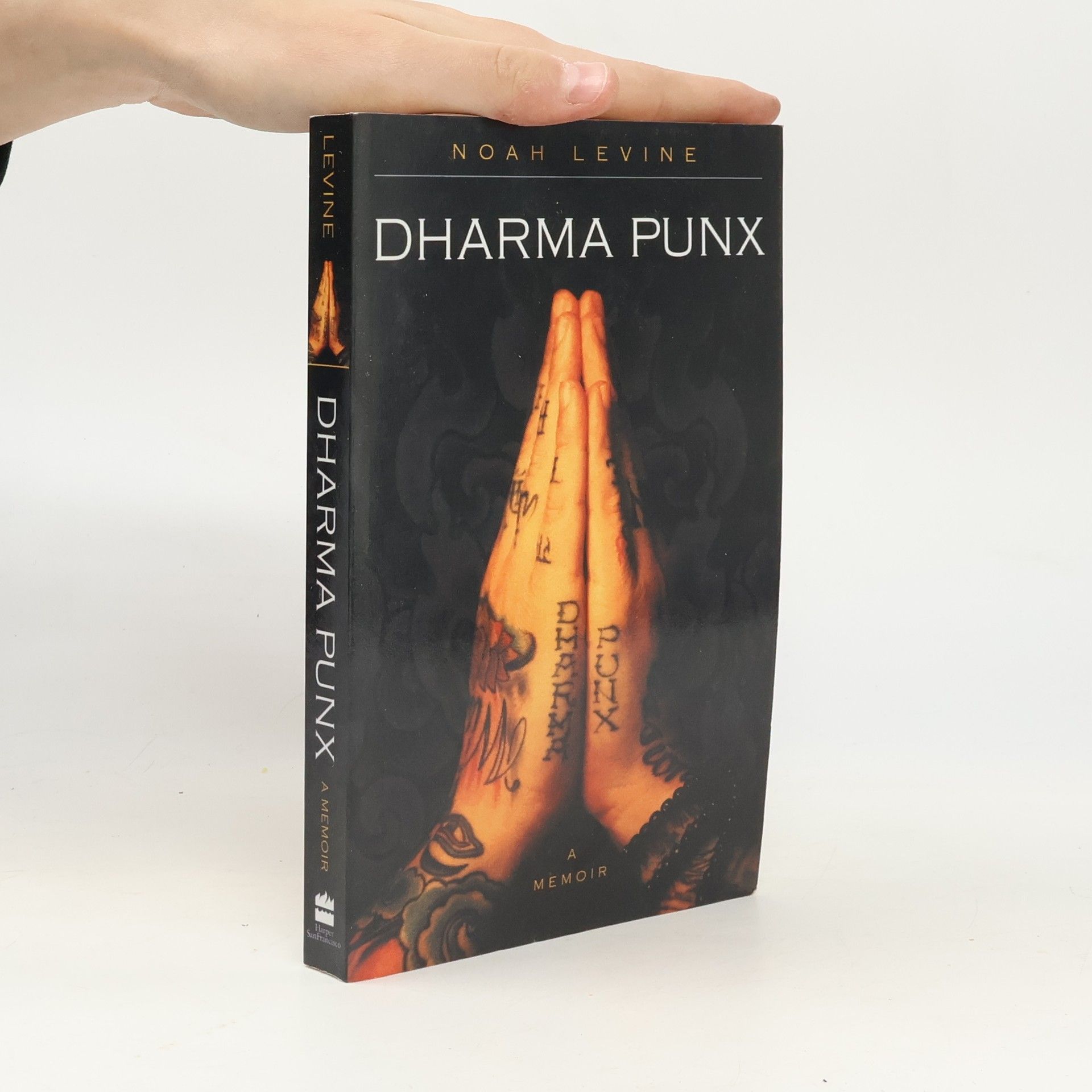 Noah Levine Dharma Punx