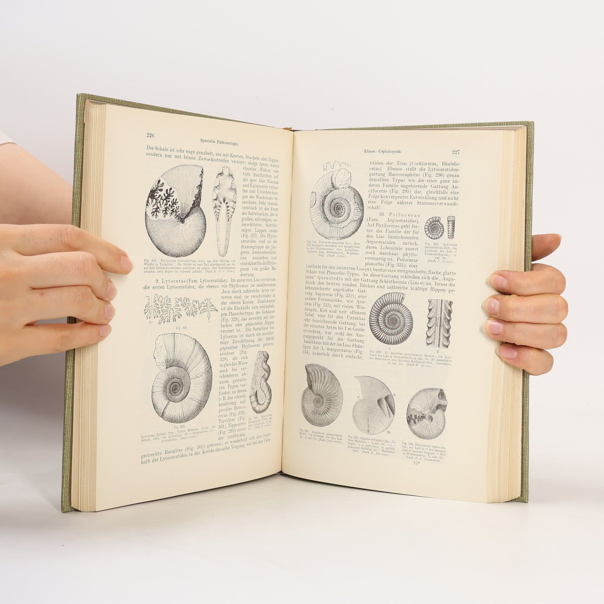 O. Abel Lehrbuch der Paläozoologie 2