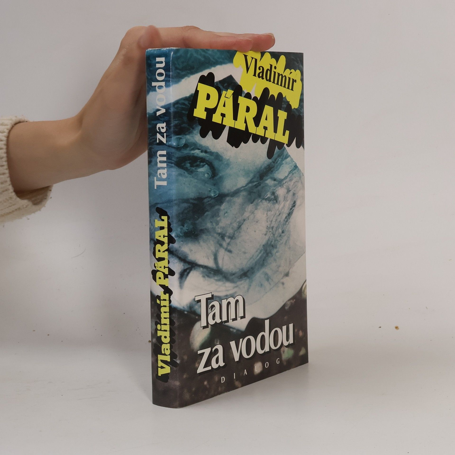 Vladimír Páral Tam za vodou