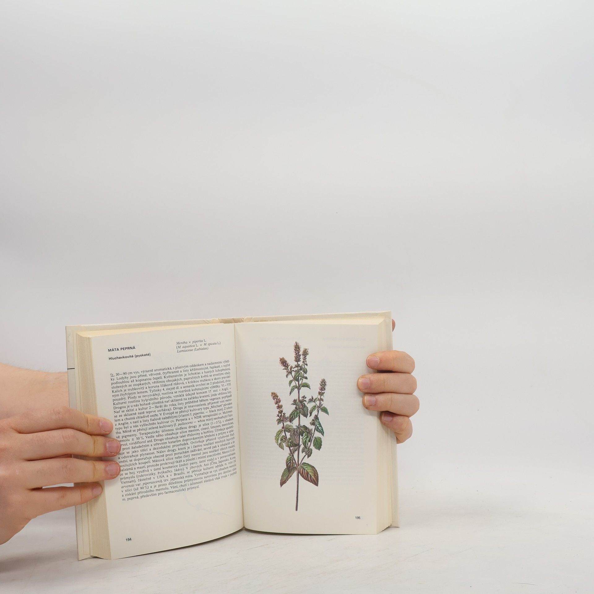 Václav Jirásek Kapesní atlas léčivých rostlin