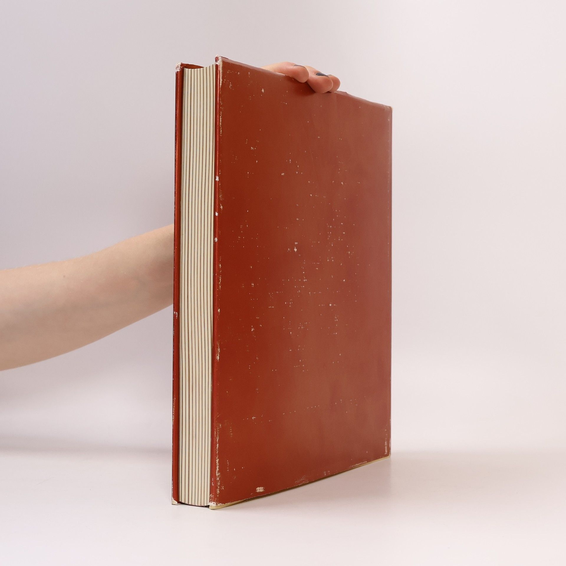 Autores varios Bosnien und die Herzegowina