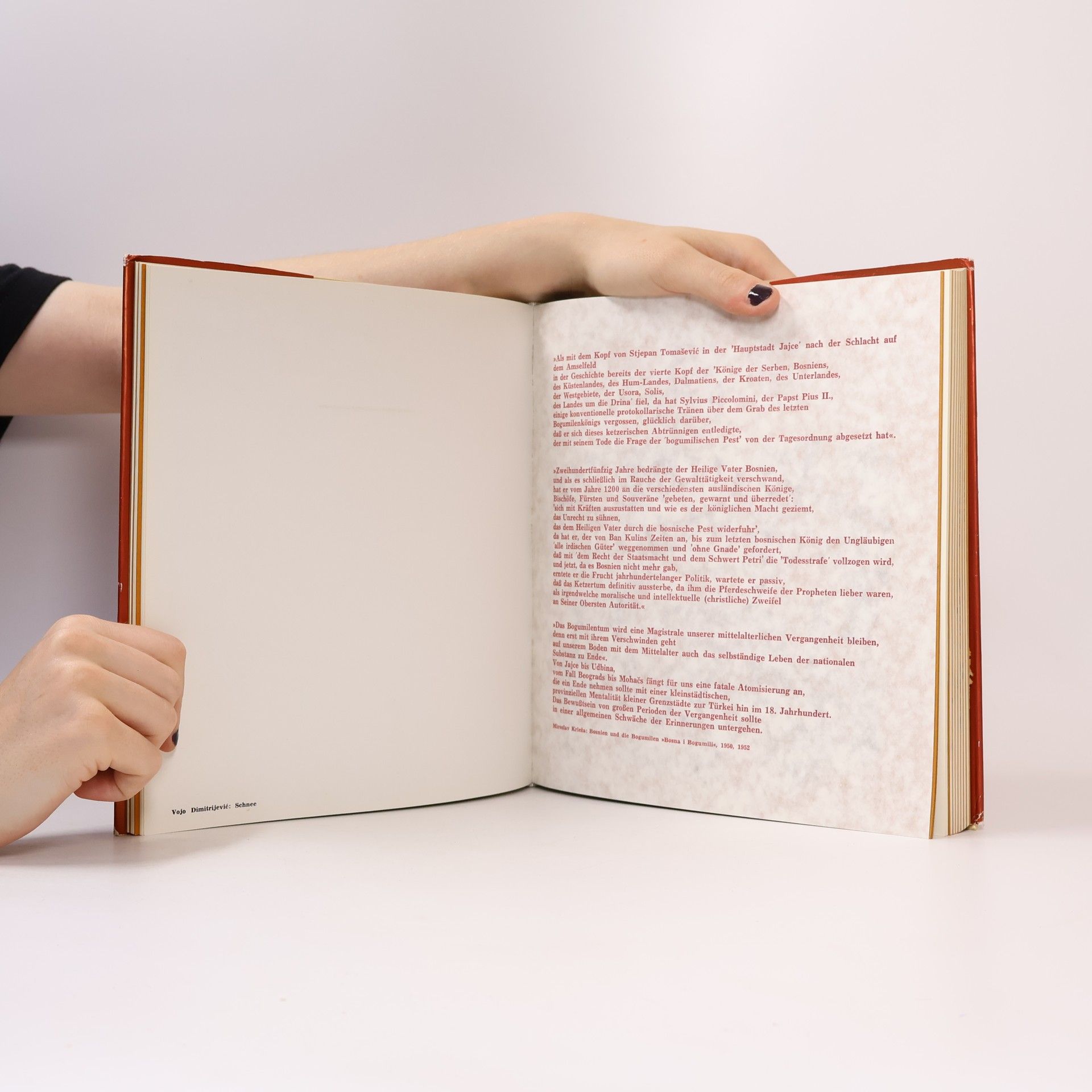 Autores varios Bosnien und die Herzegowina