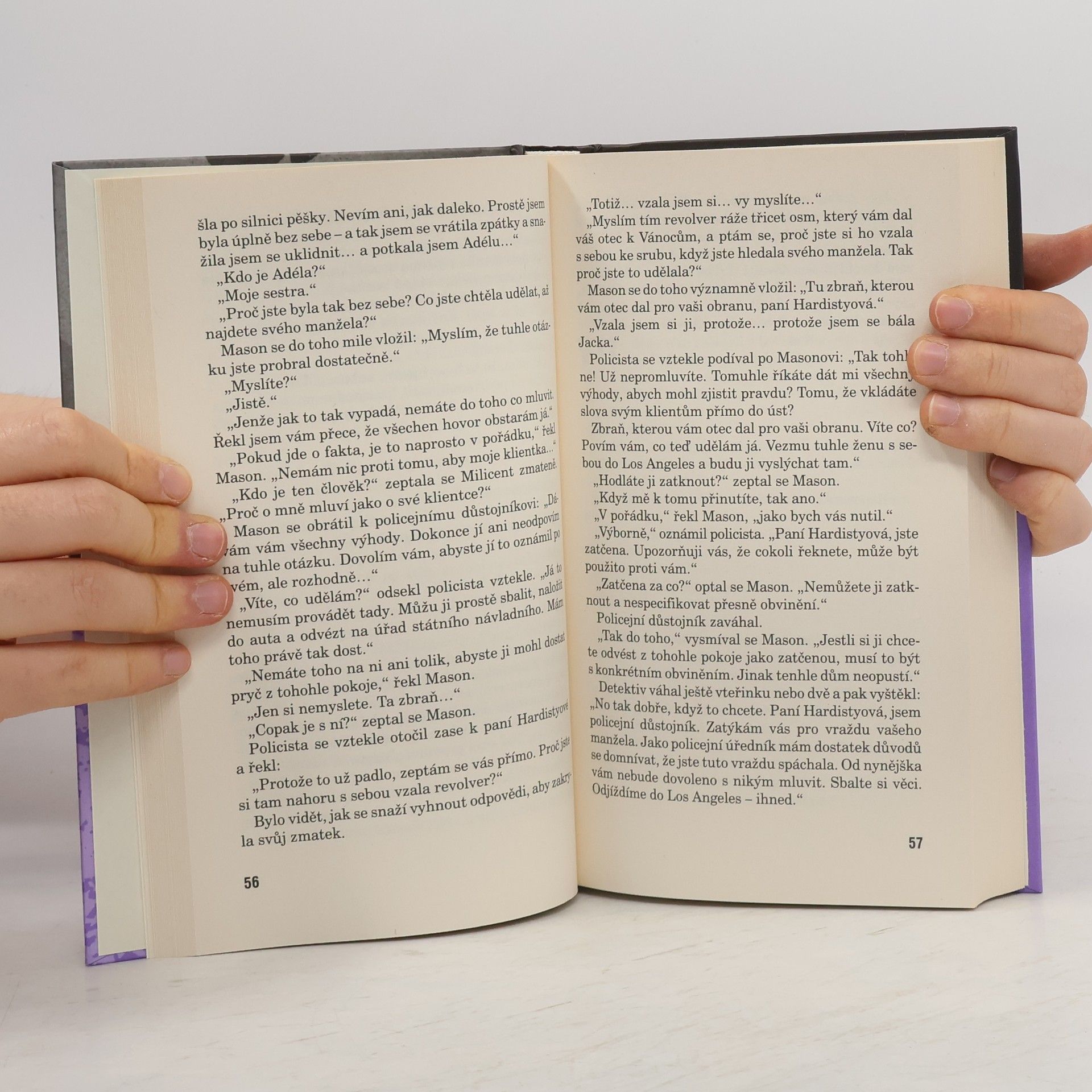 Erle Stanley Gardner Případ zakopaného budíku
