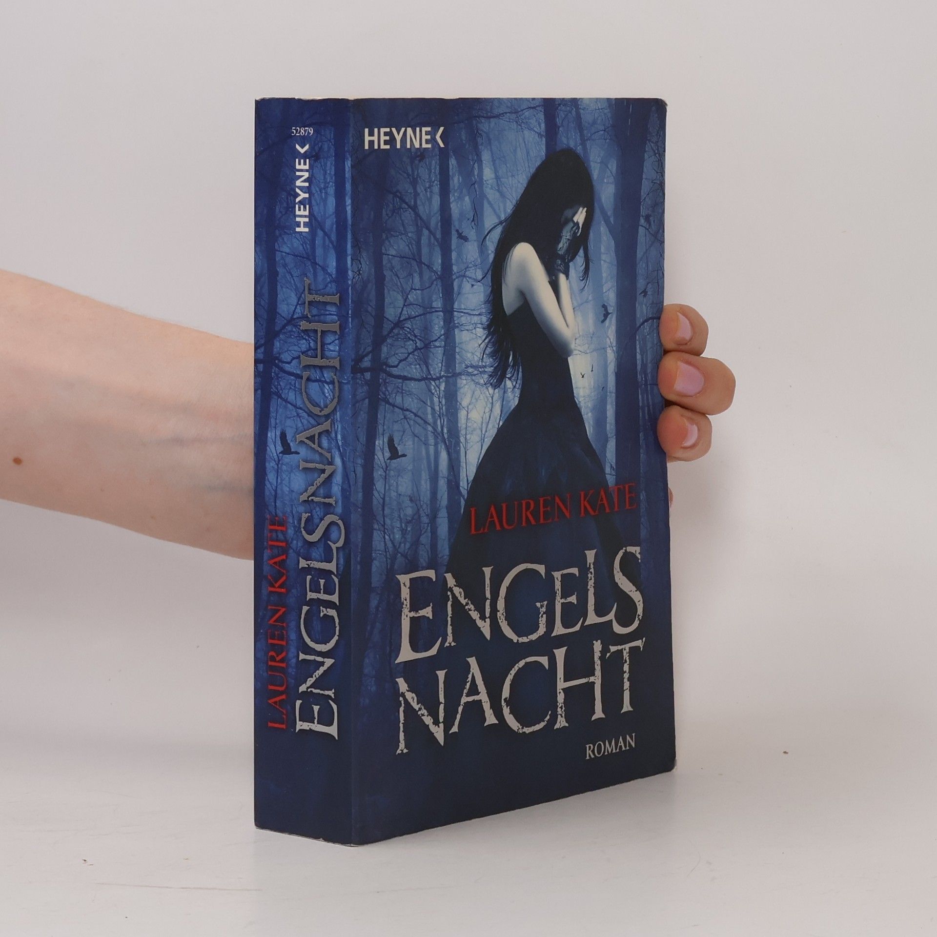 Lauren Kate Engels Nacht