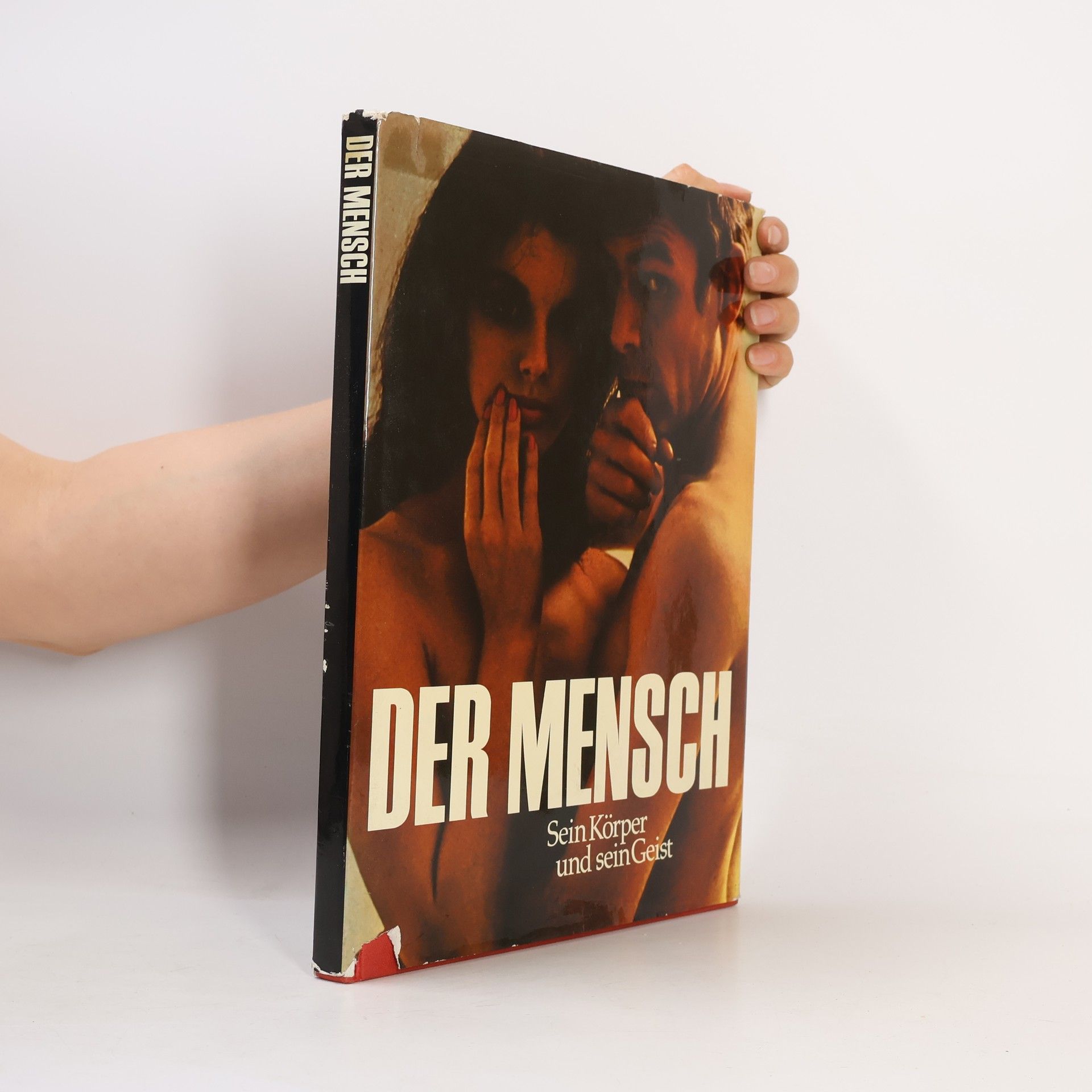 Autorenkollektiv Der Mensch