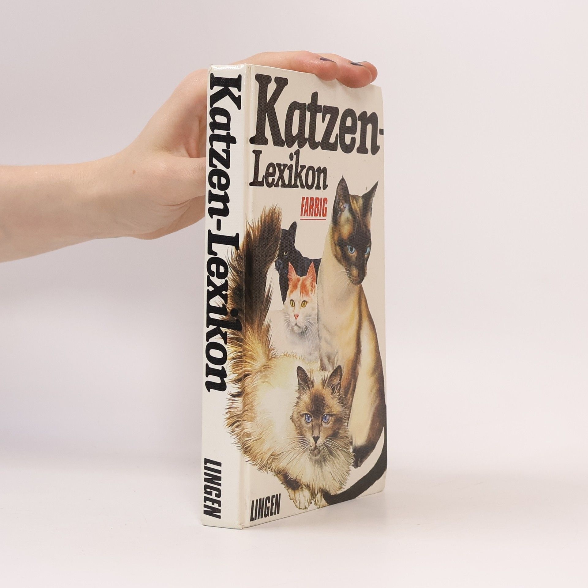 Autorenkollektiv Katzen-Lexikon
