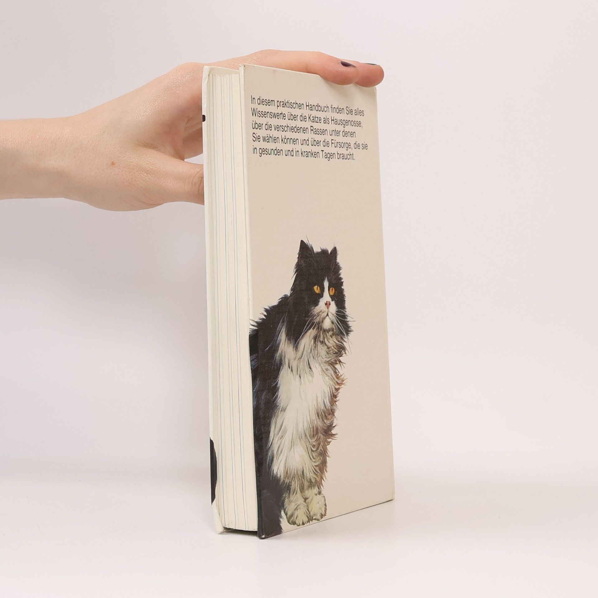 Autorenkollektiv Katzen-Lexikon