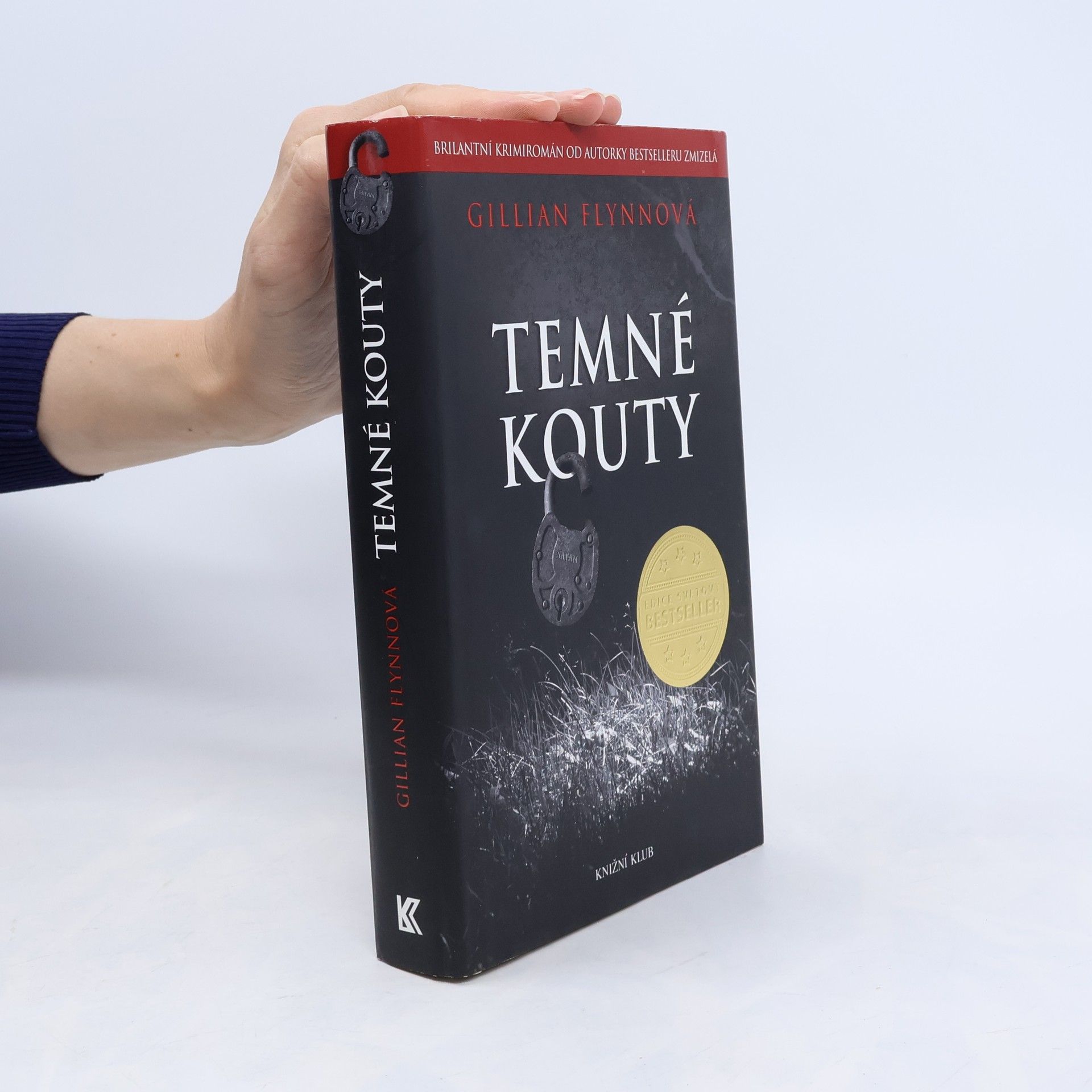 Gillian Flynn Temné kouty