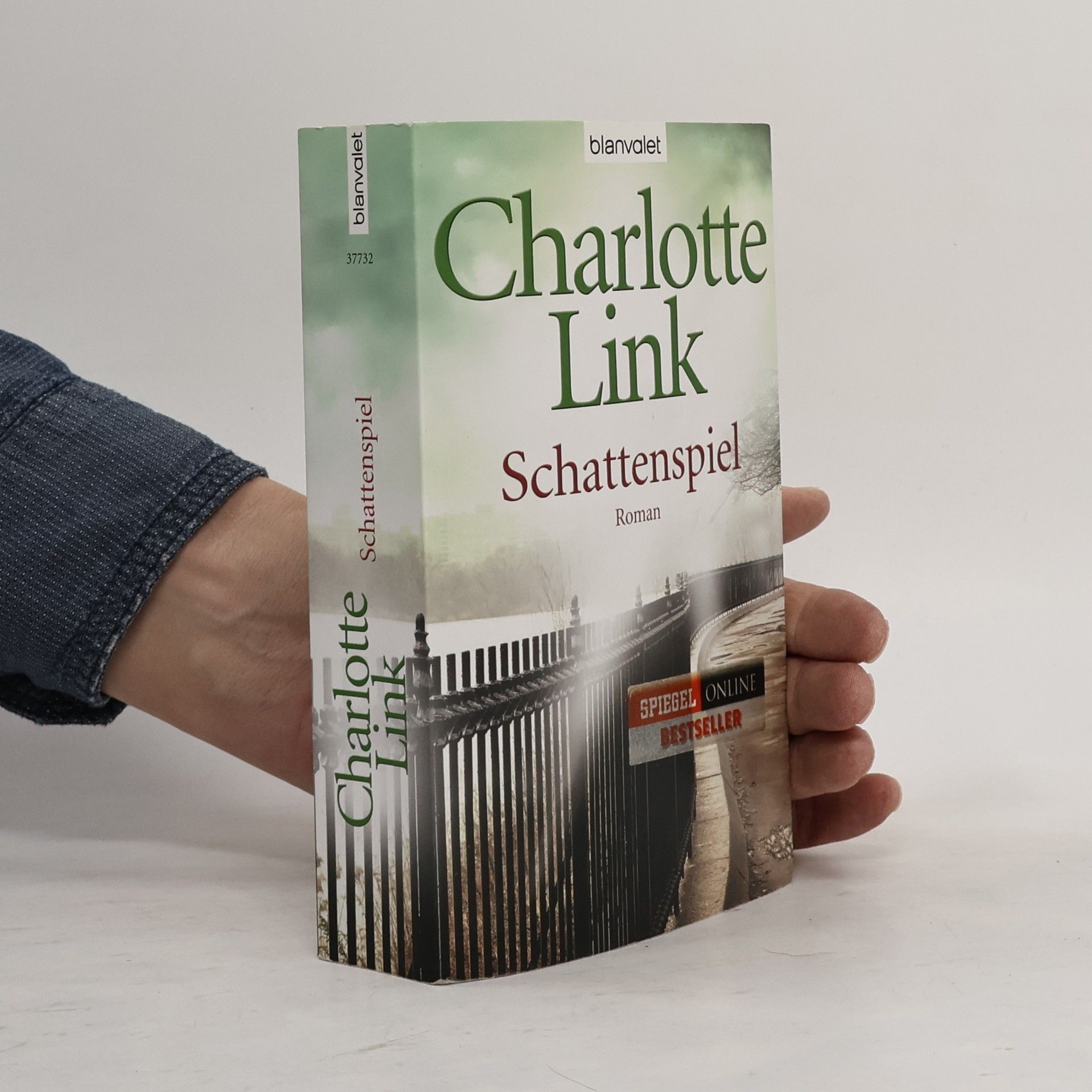 Charlotte Link Schattenspiel