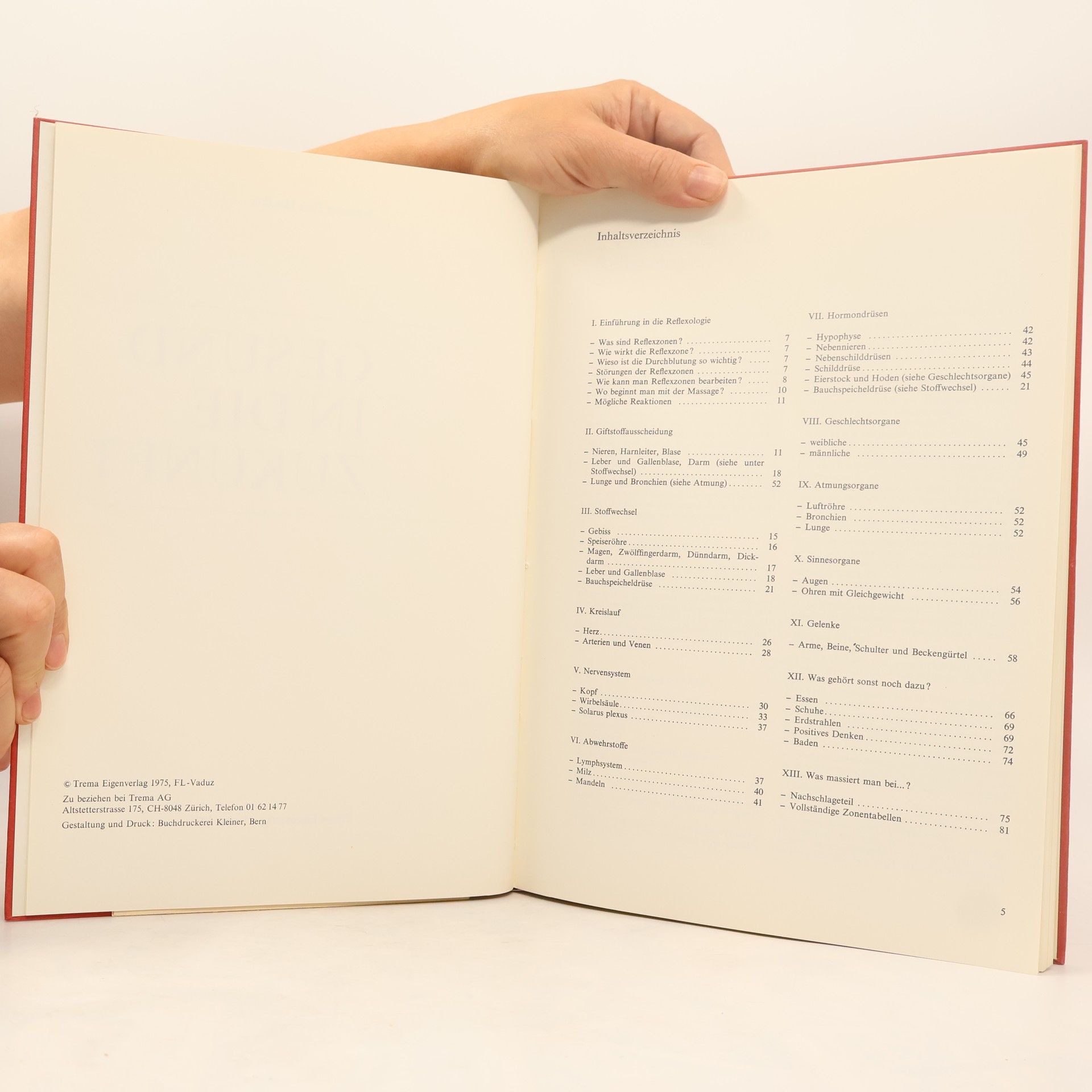 Autorenkollektiv Gesund in die Zukunft